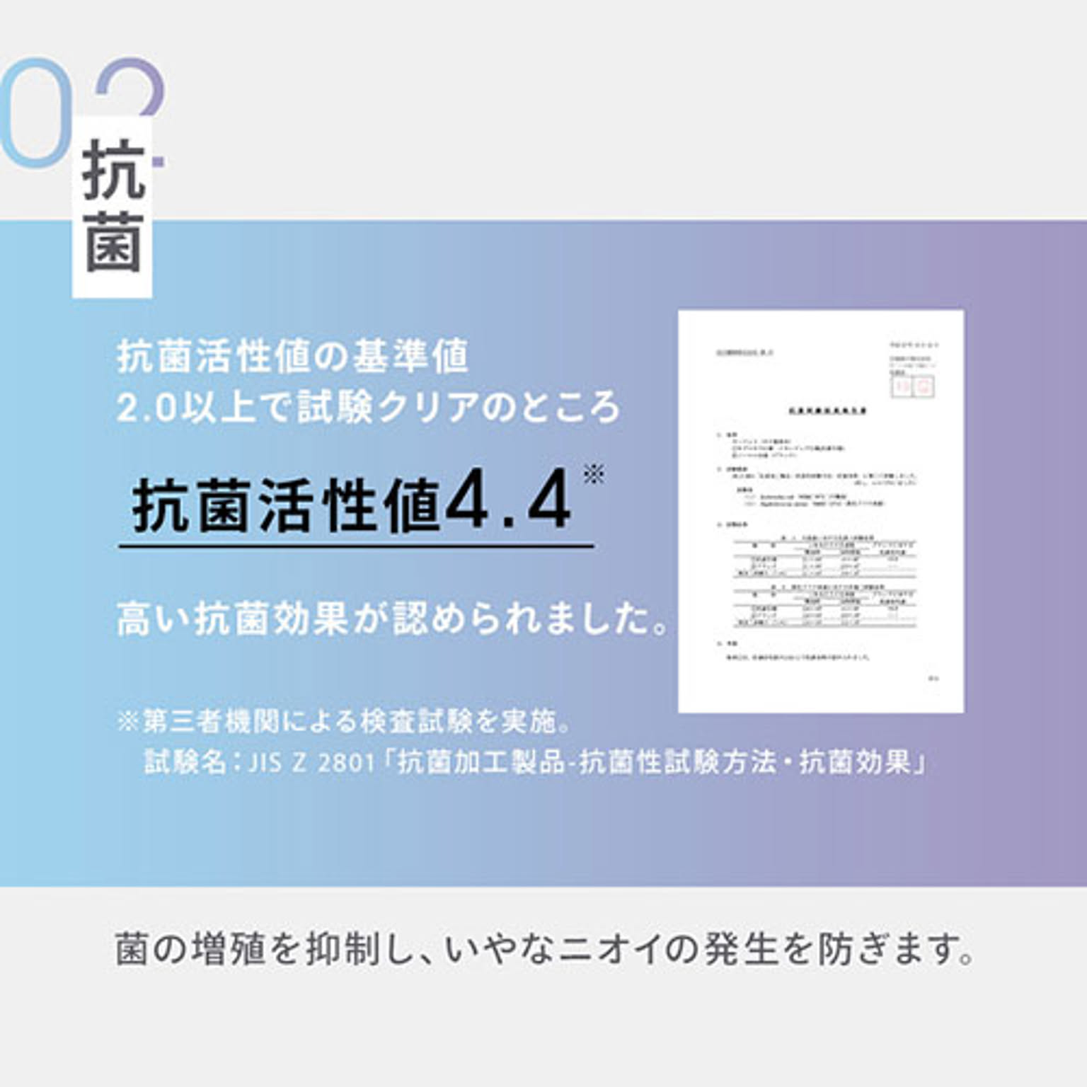 ラグ