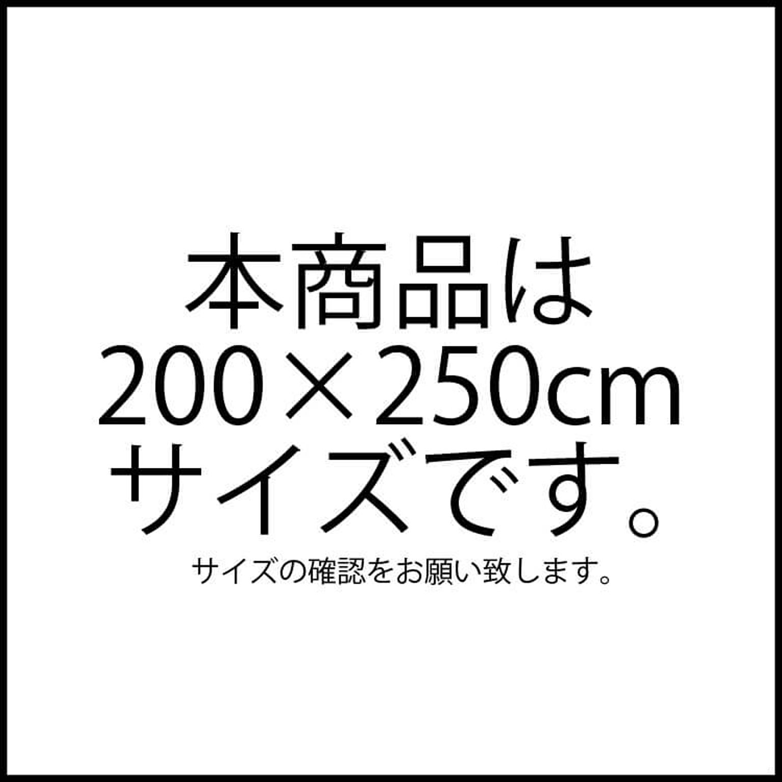 ラグ