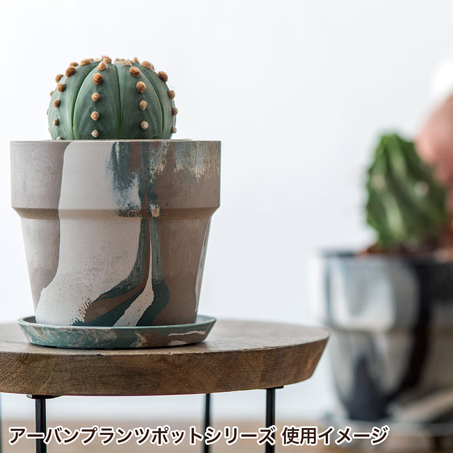 プランター・植木鉢