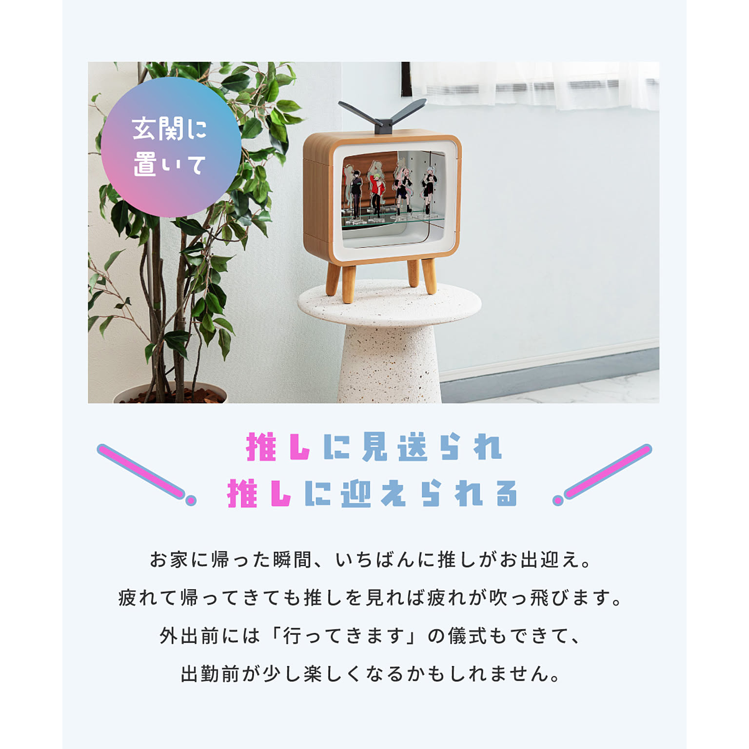 コレクションケース