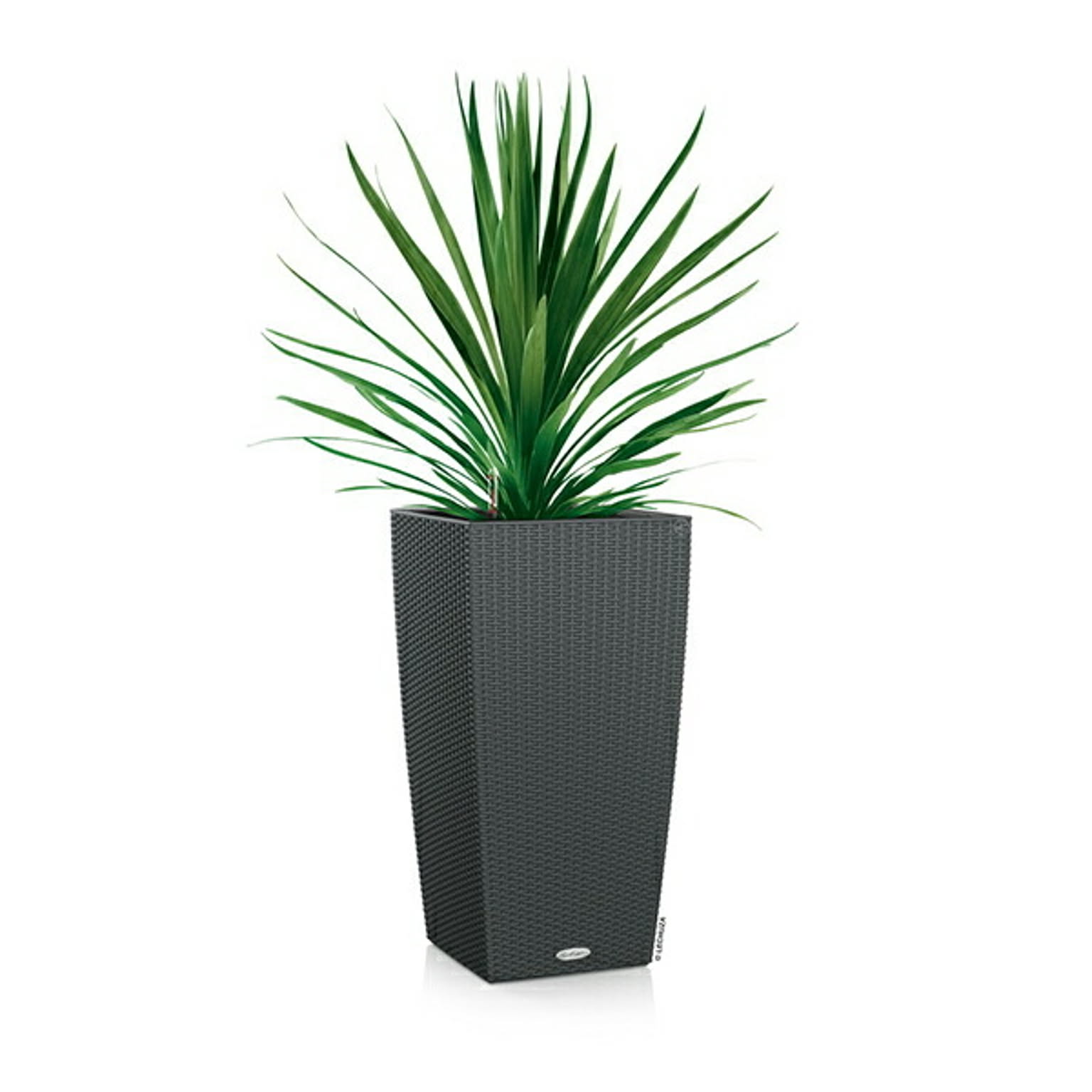 プランター・植木鉢