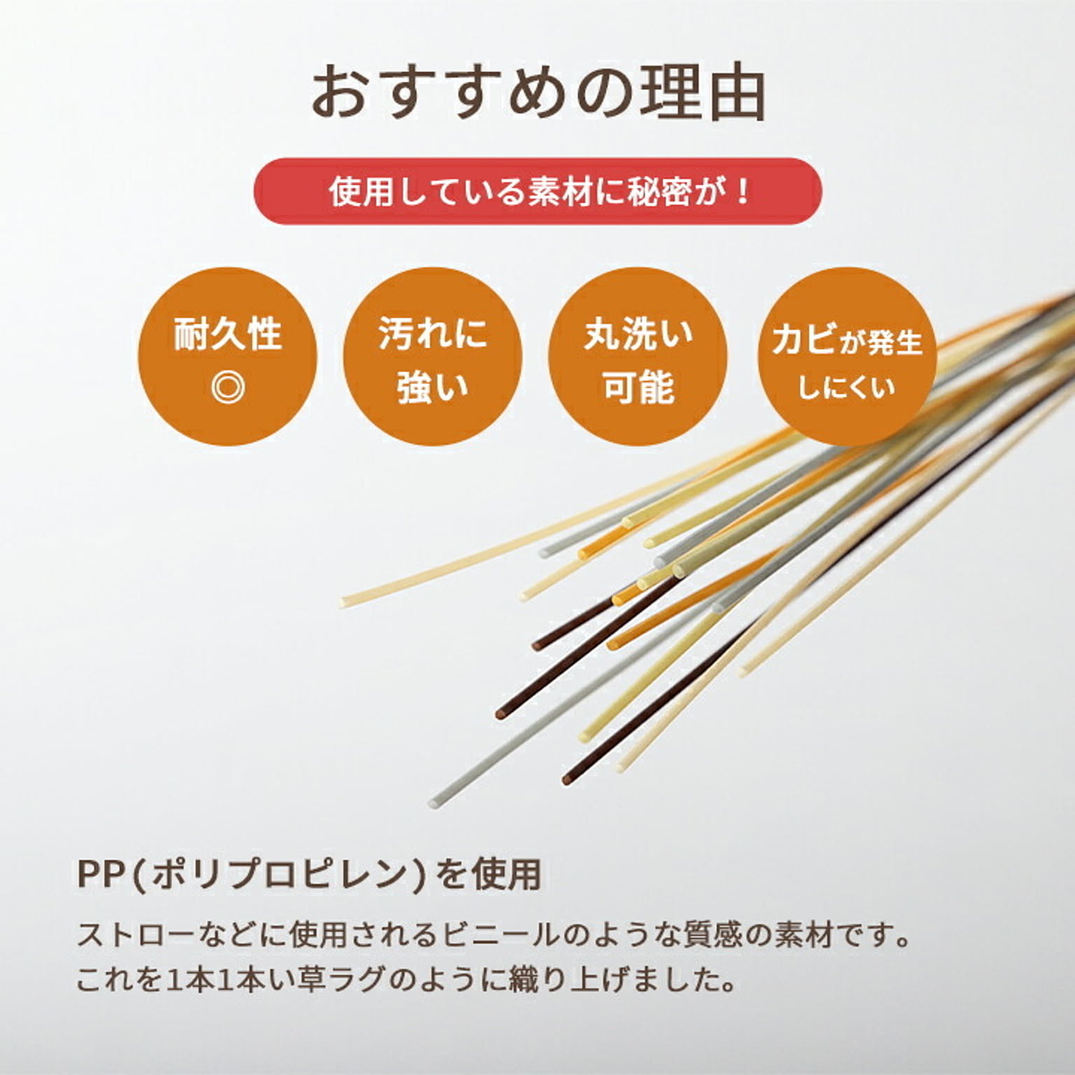 ラグ