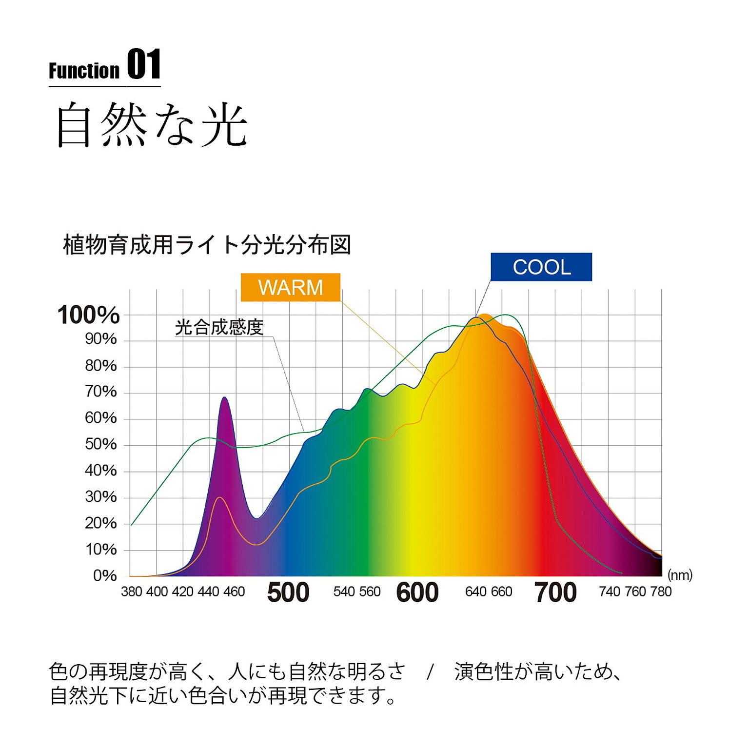 シーリングライト