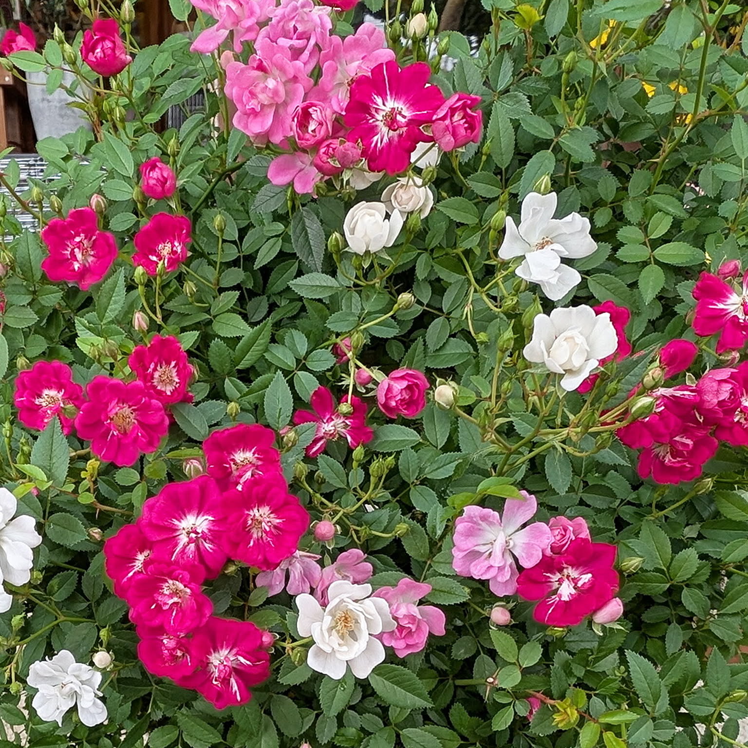 造花・アートフラワー