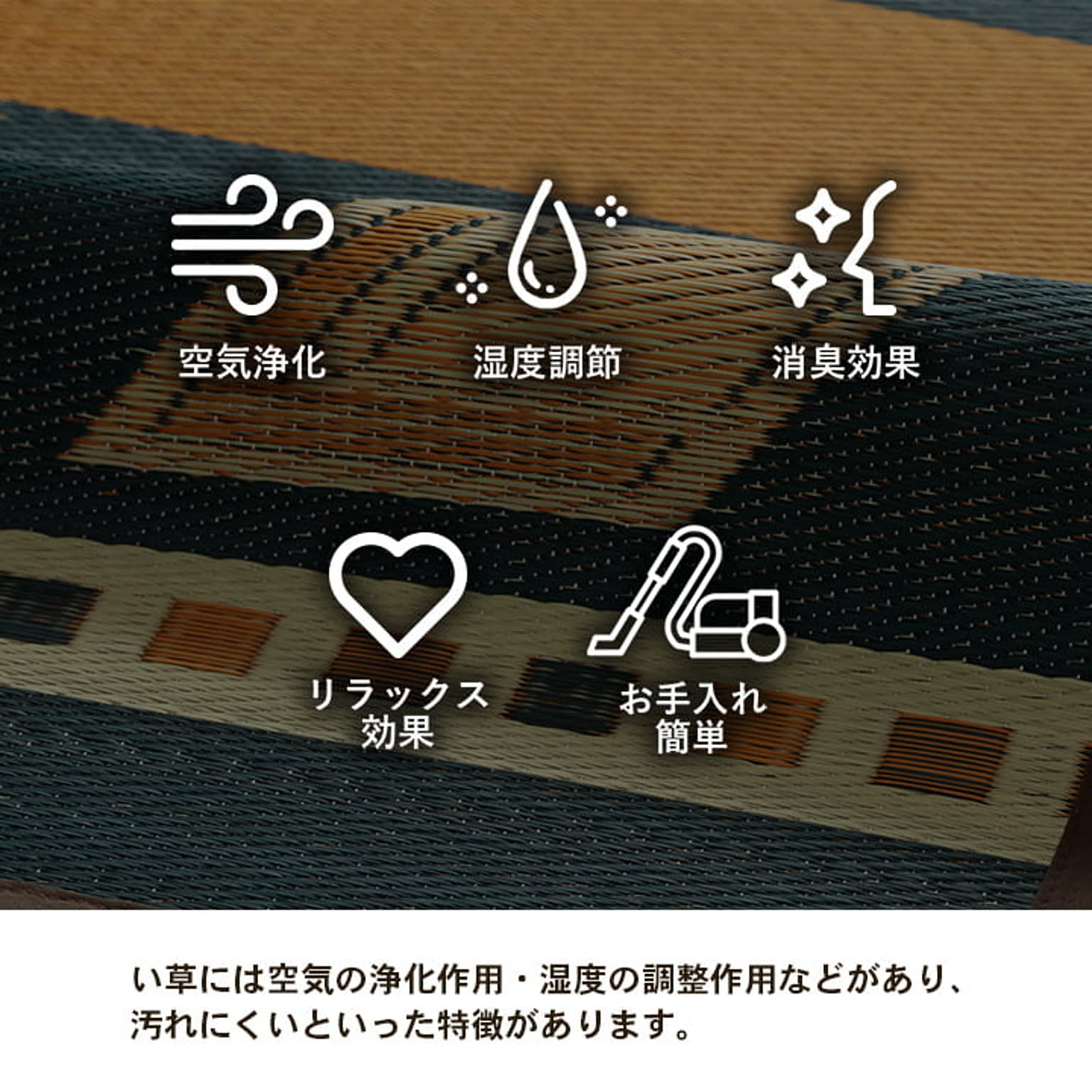 ござ・い草ラグ