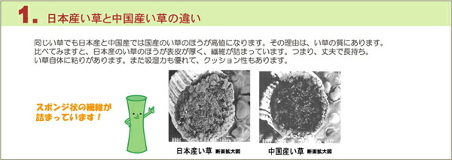 ござ・い草ラグ