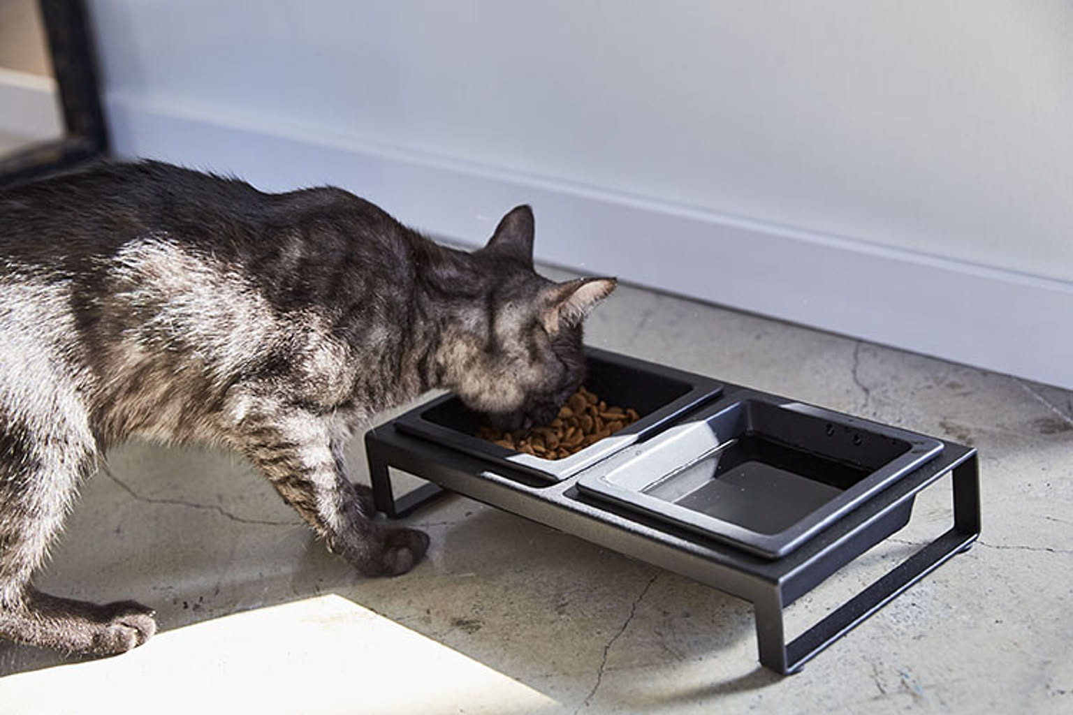 猫用インテリア・猫用家具