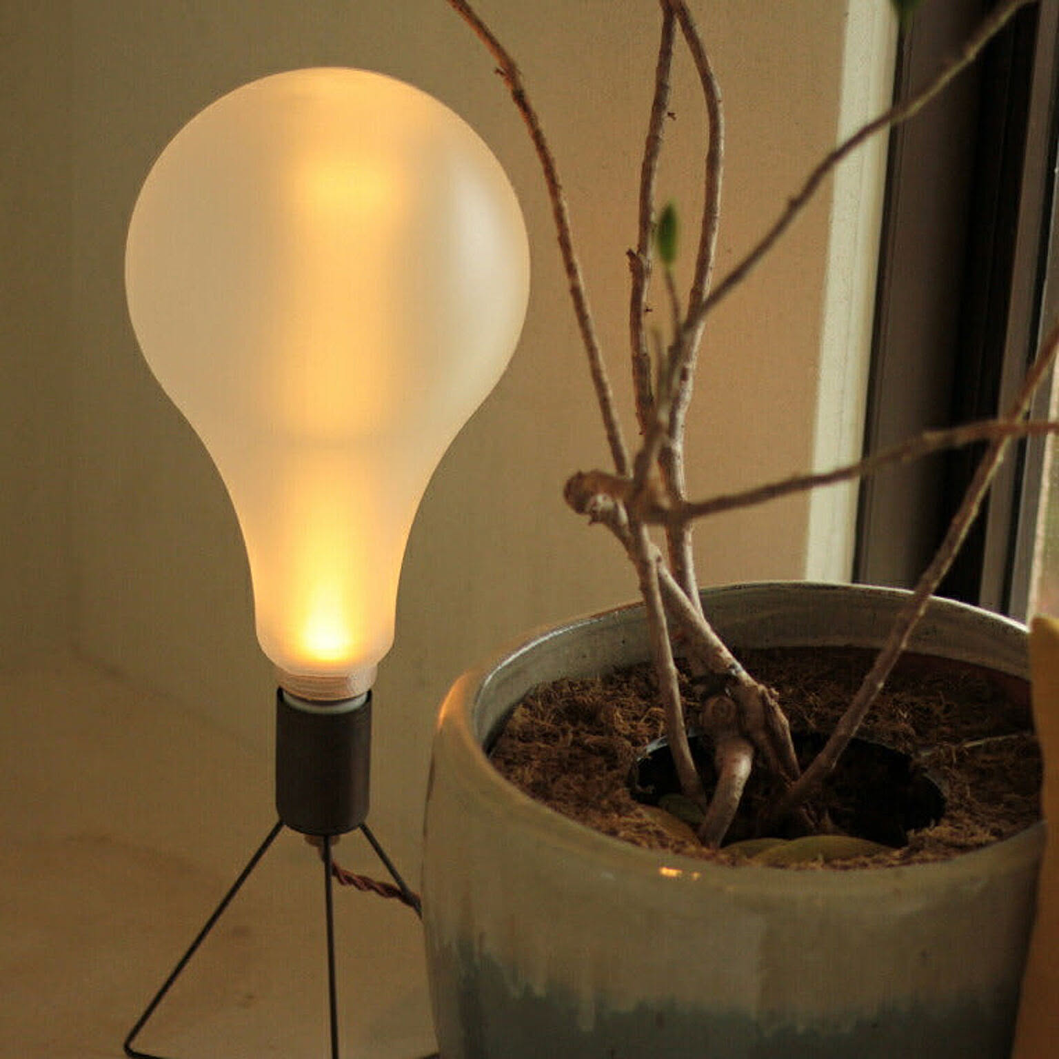 電球