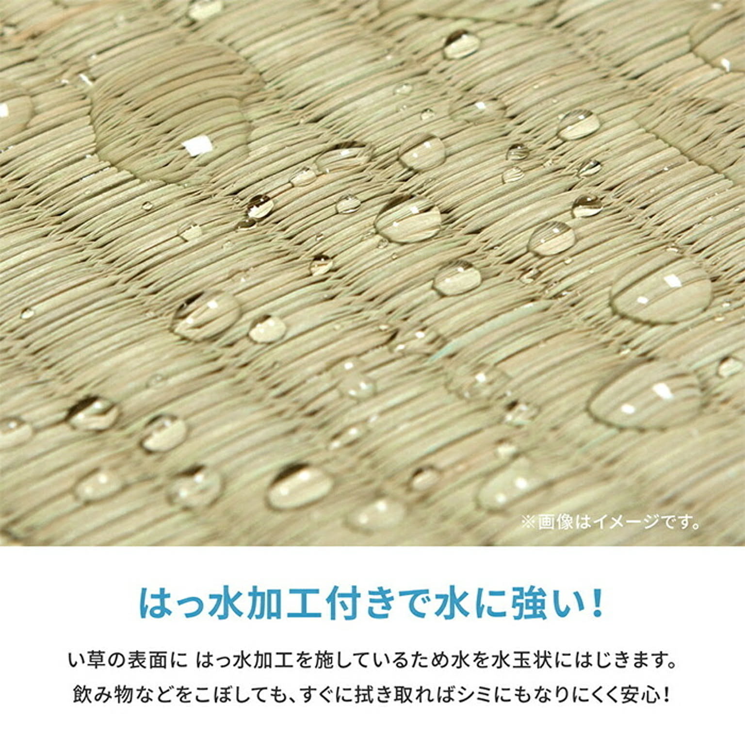 ござ・い草ラグ