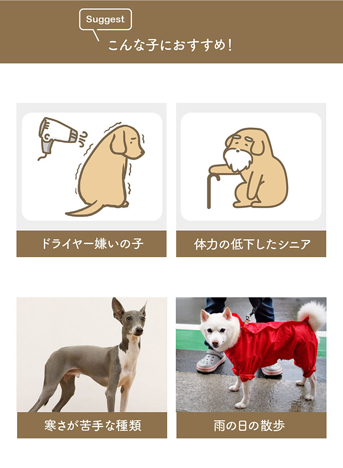犬用インテリア・犬用家具