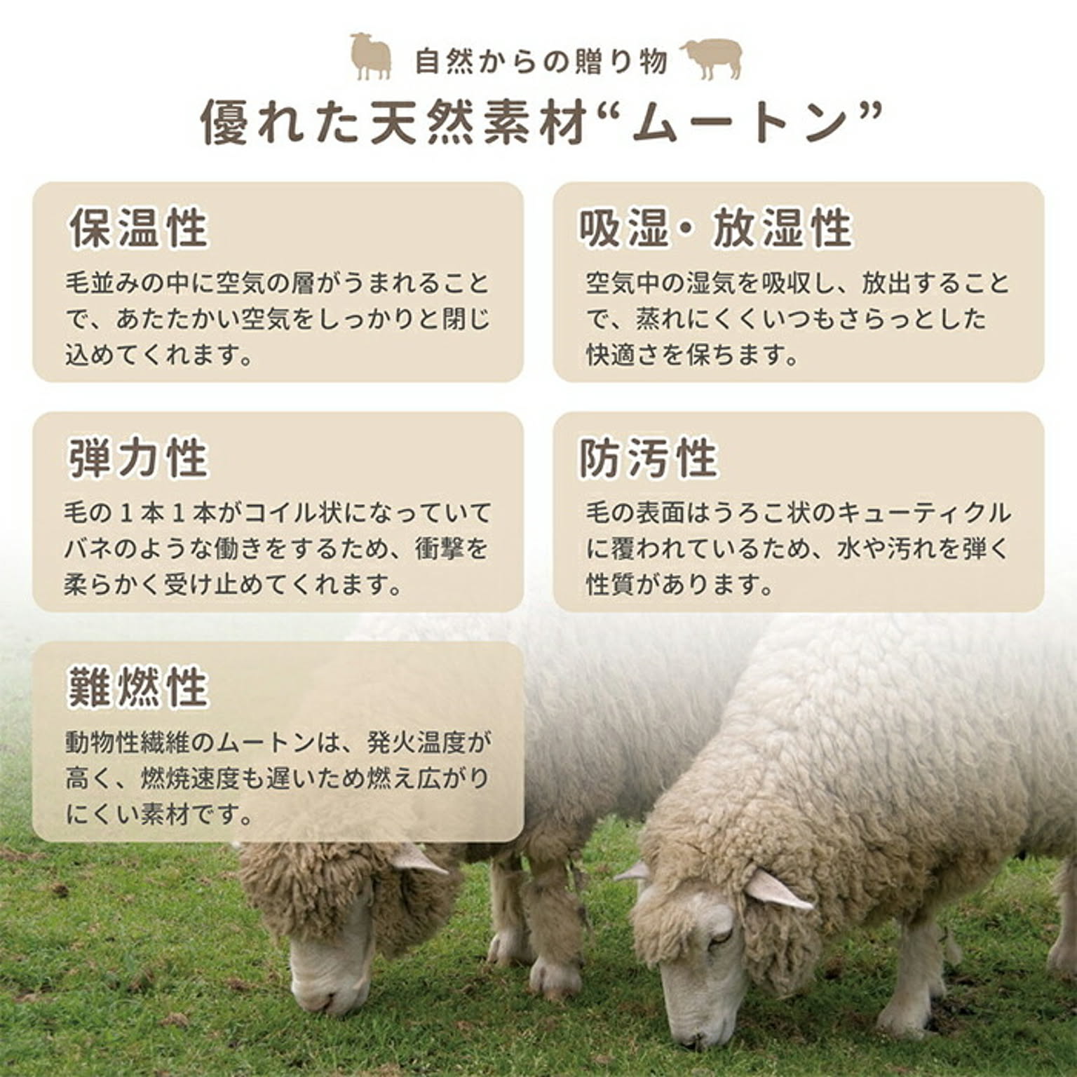 クッション