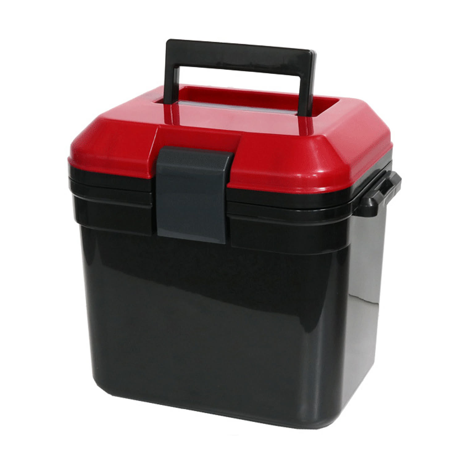 限定カラークーラーボックス ベルト付 小型 コンパクト かわいい 7L 