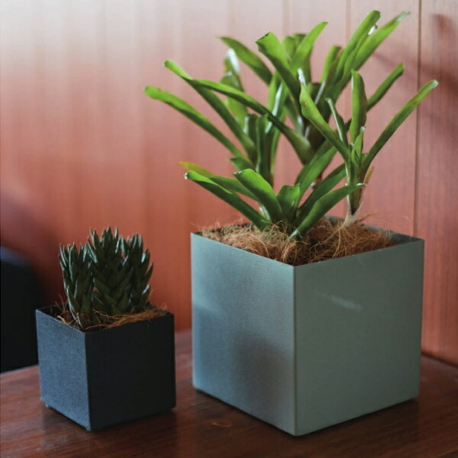 プランター・植木鉢