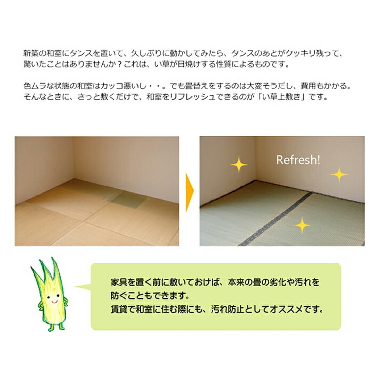 ござ・い草ラグ