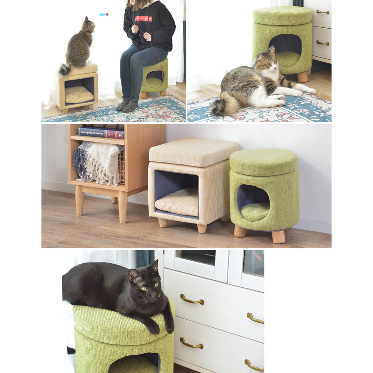 犬用インテリア・犬用家具