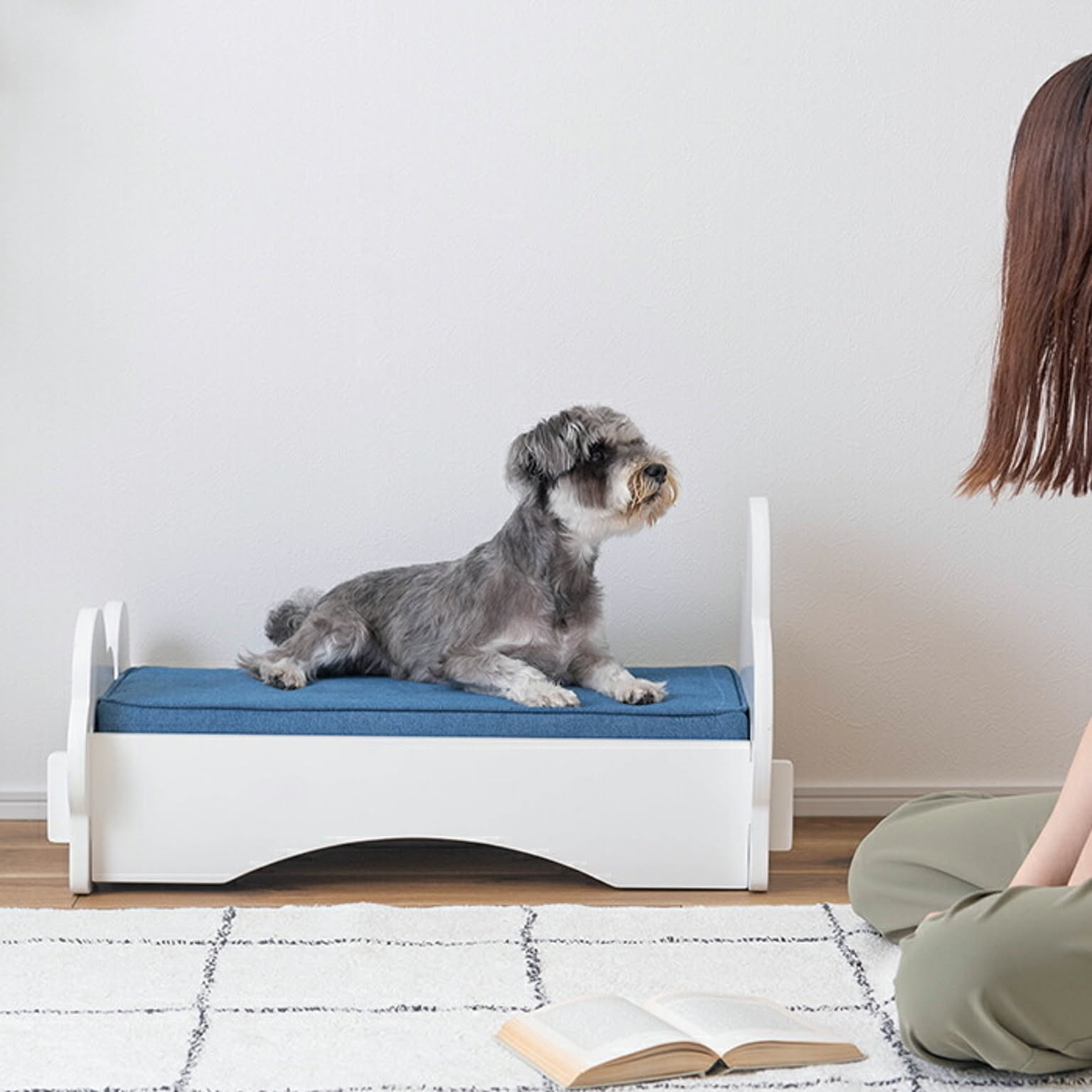 犬用インテリア・犬用家具