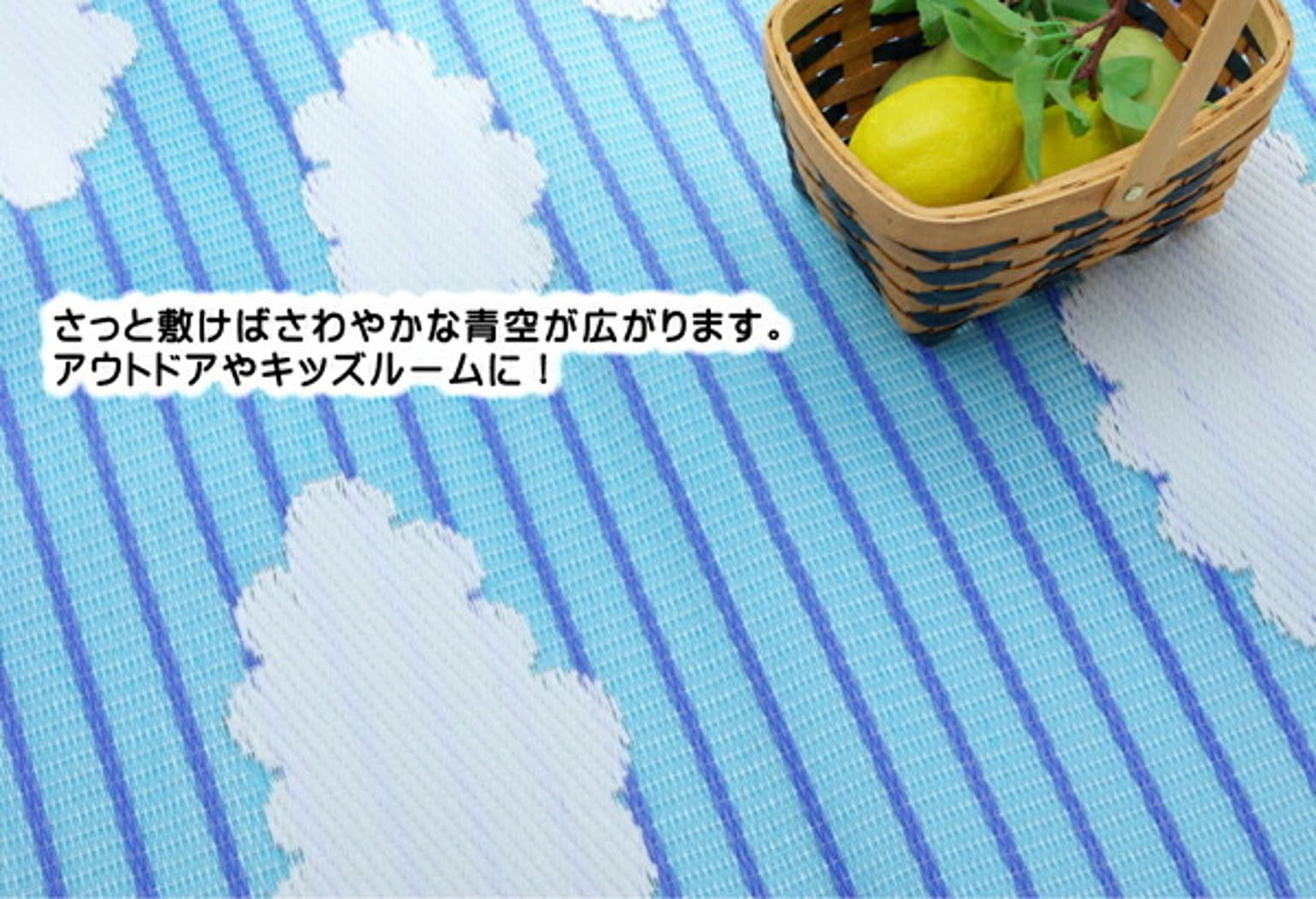 ござ・い草ラグ