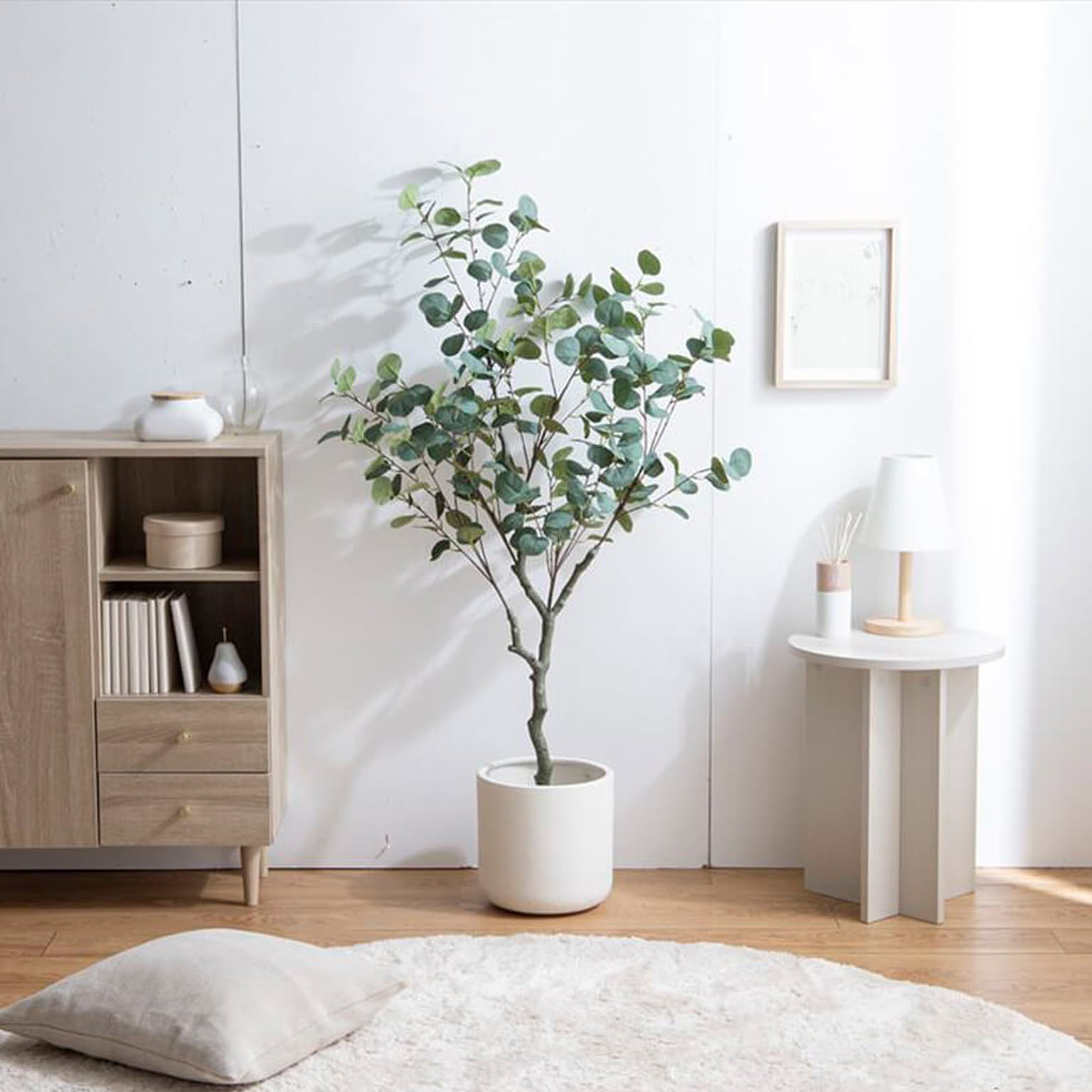 観葉植物
