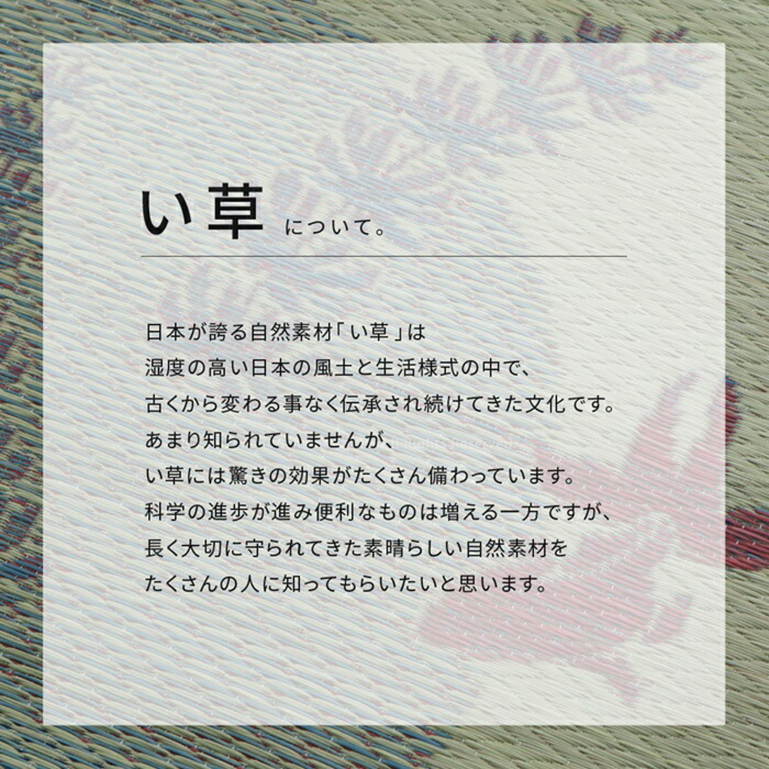 ござ・い草ラグ