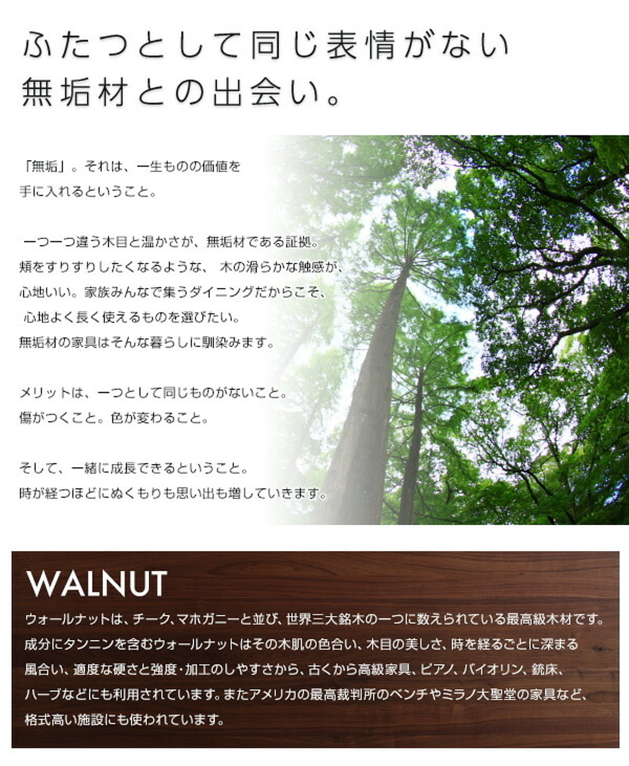 ダイニングテーブル