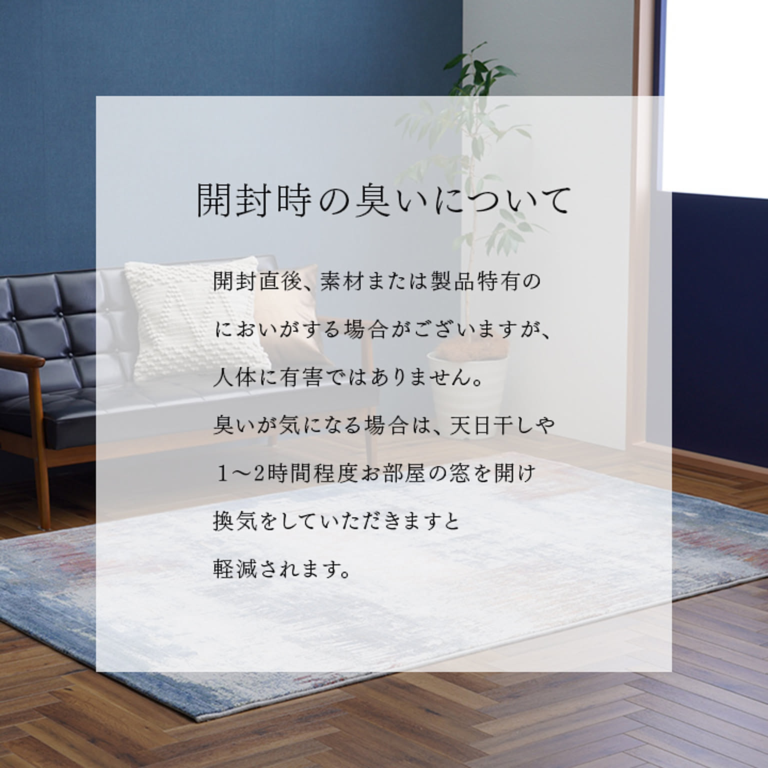 ラグ