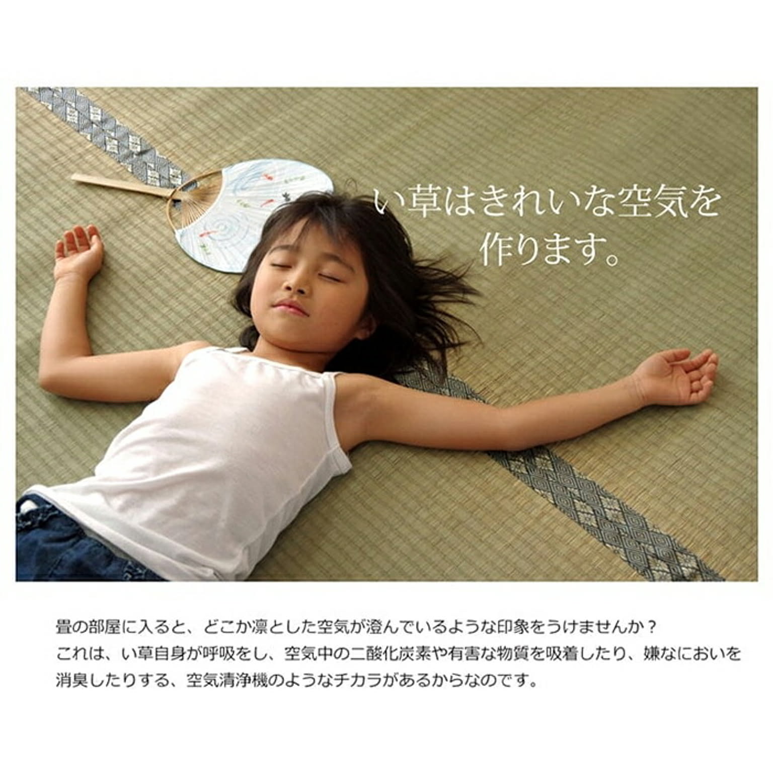 ござ・い草ラグ