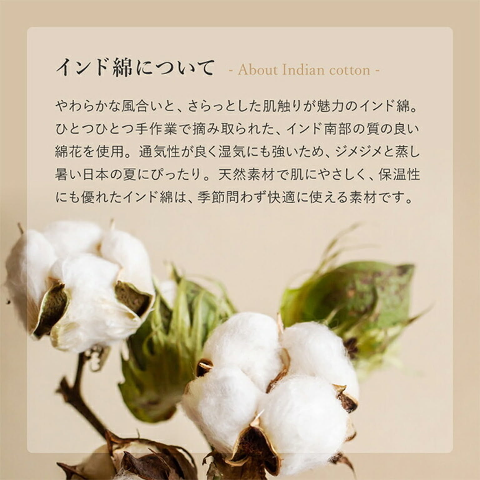 ブランケット・毛布