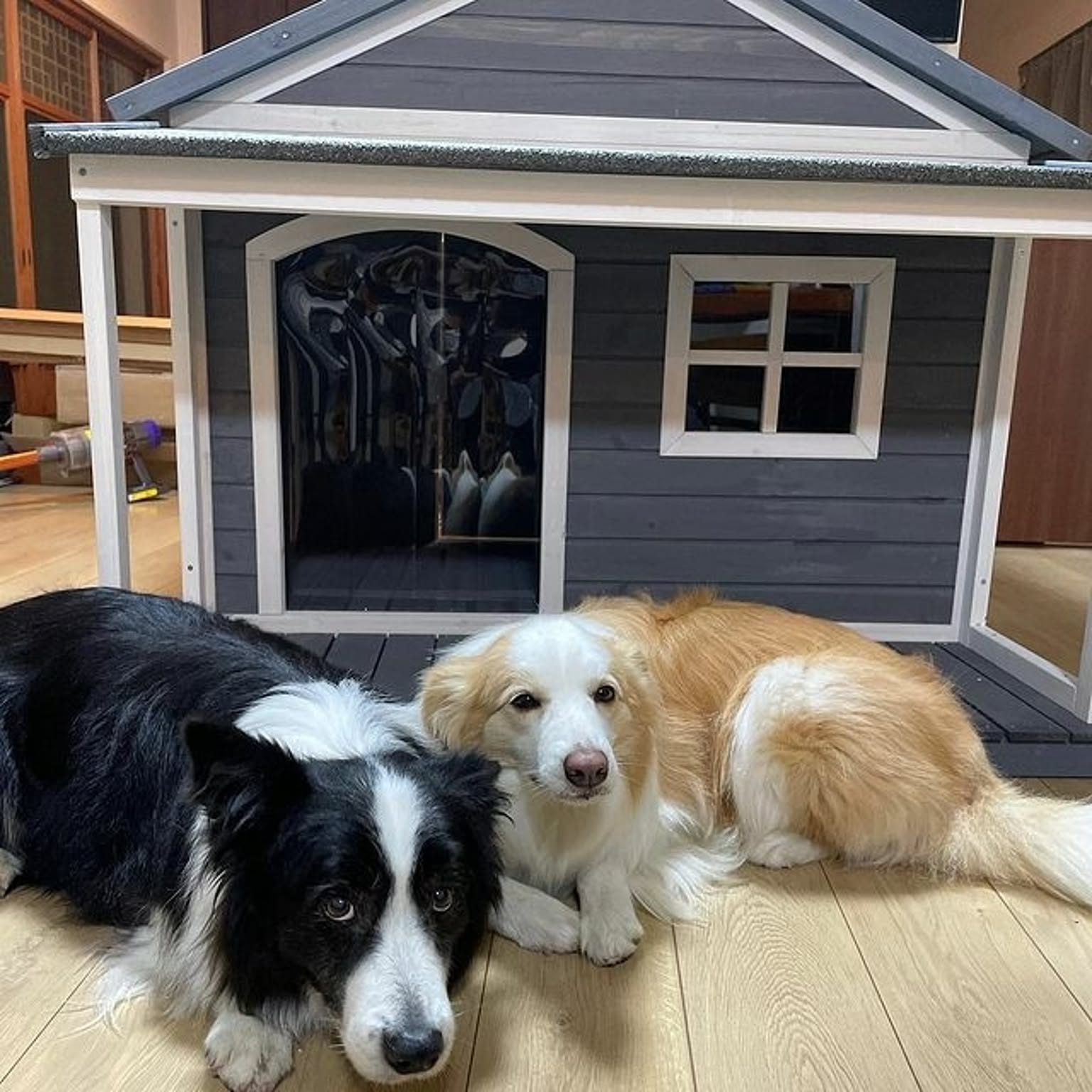 犬用インテリア・犬用家具
