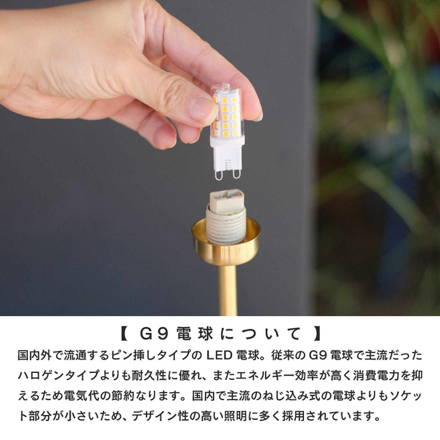 シーリングライト