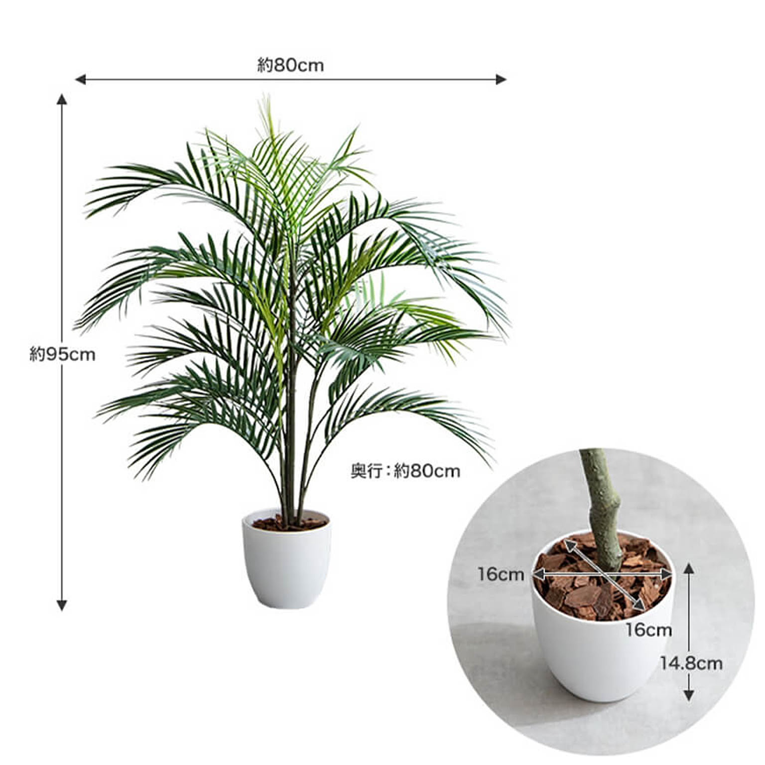 観葉植物