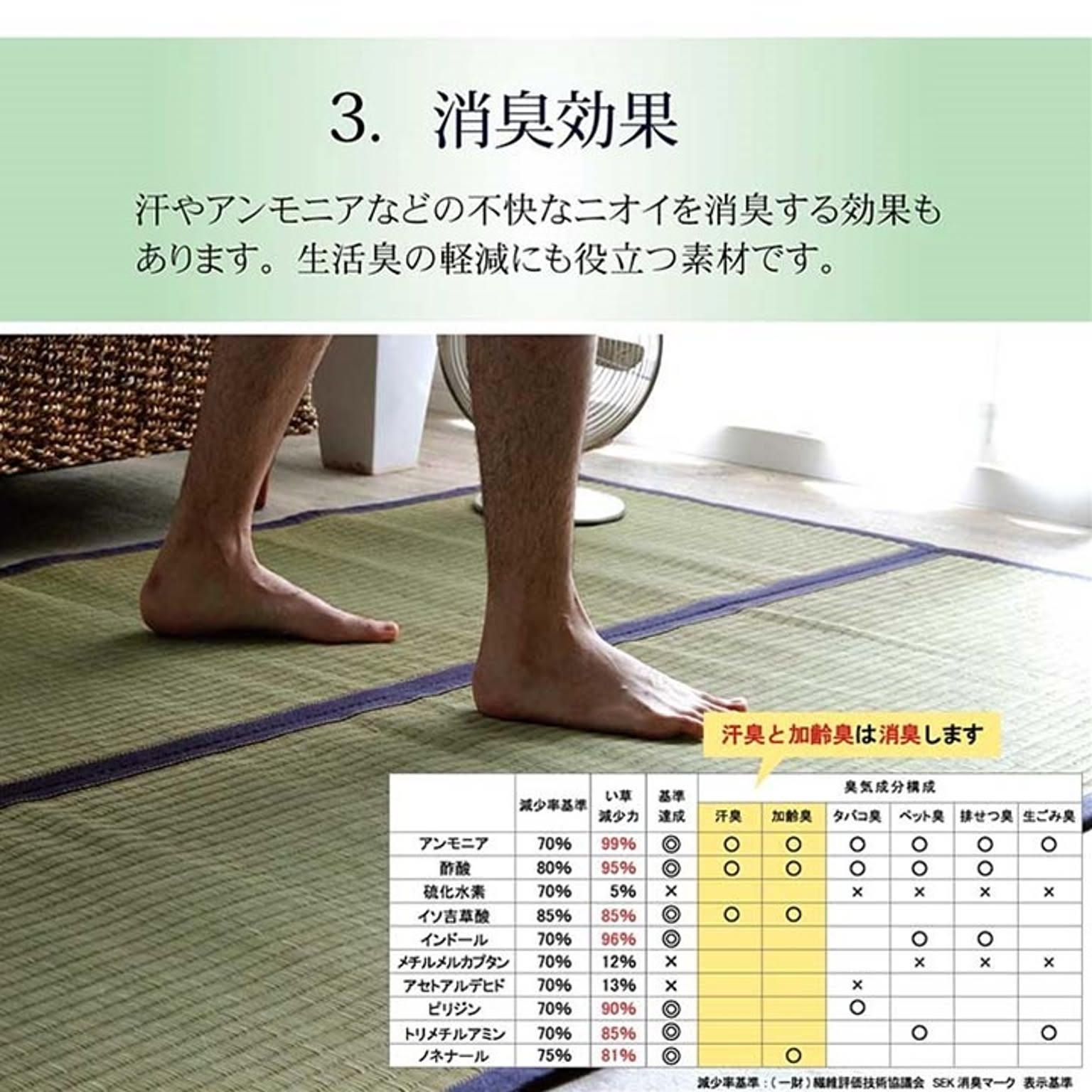 ござ・い草ラグ
