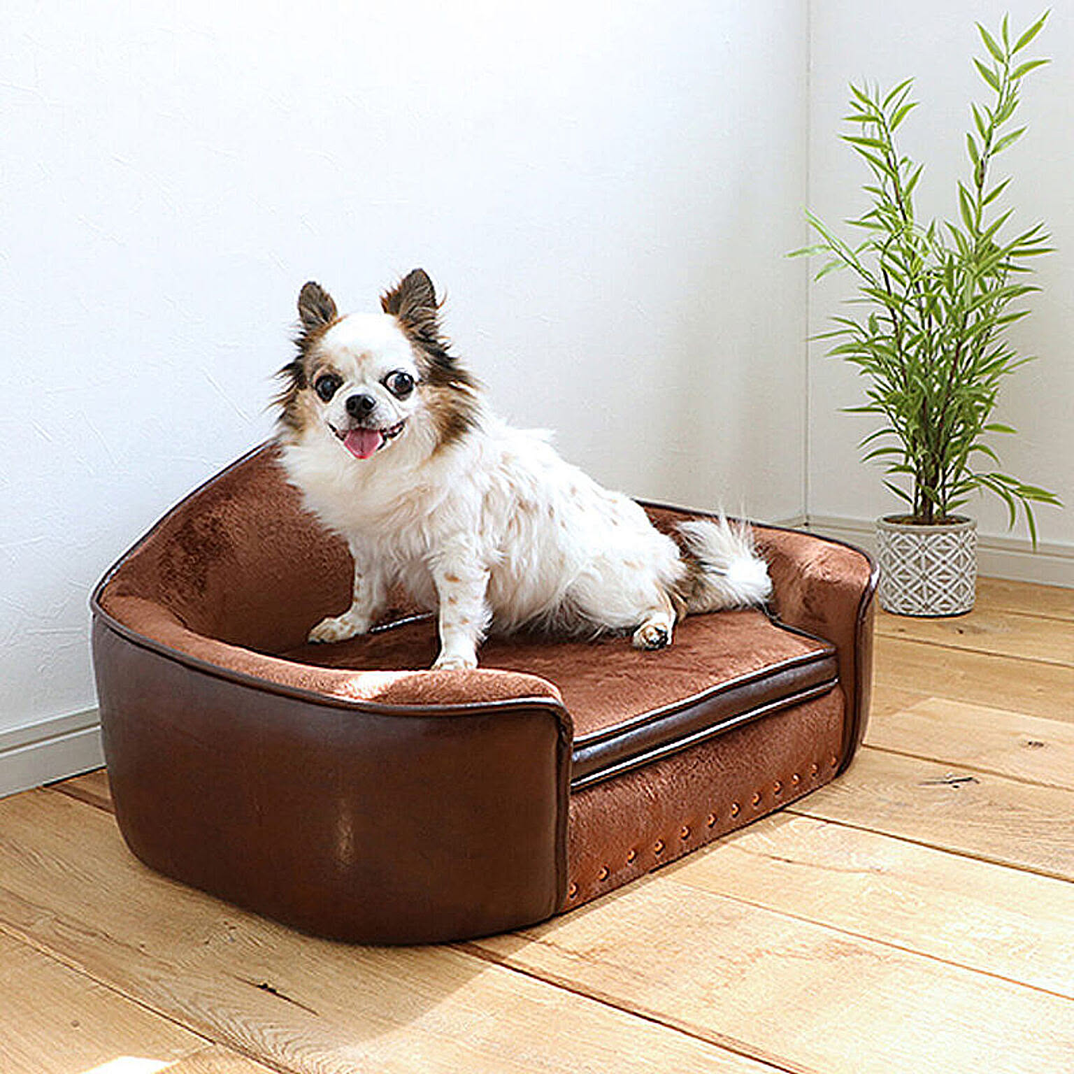 犬用インテリア・犬用家具