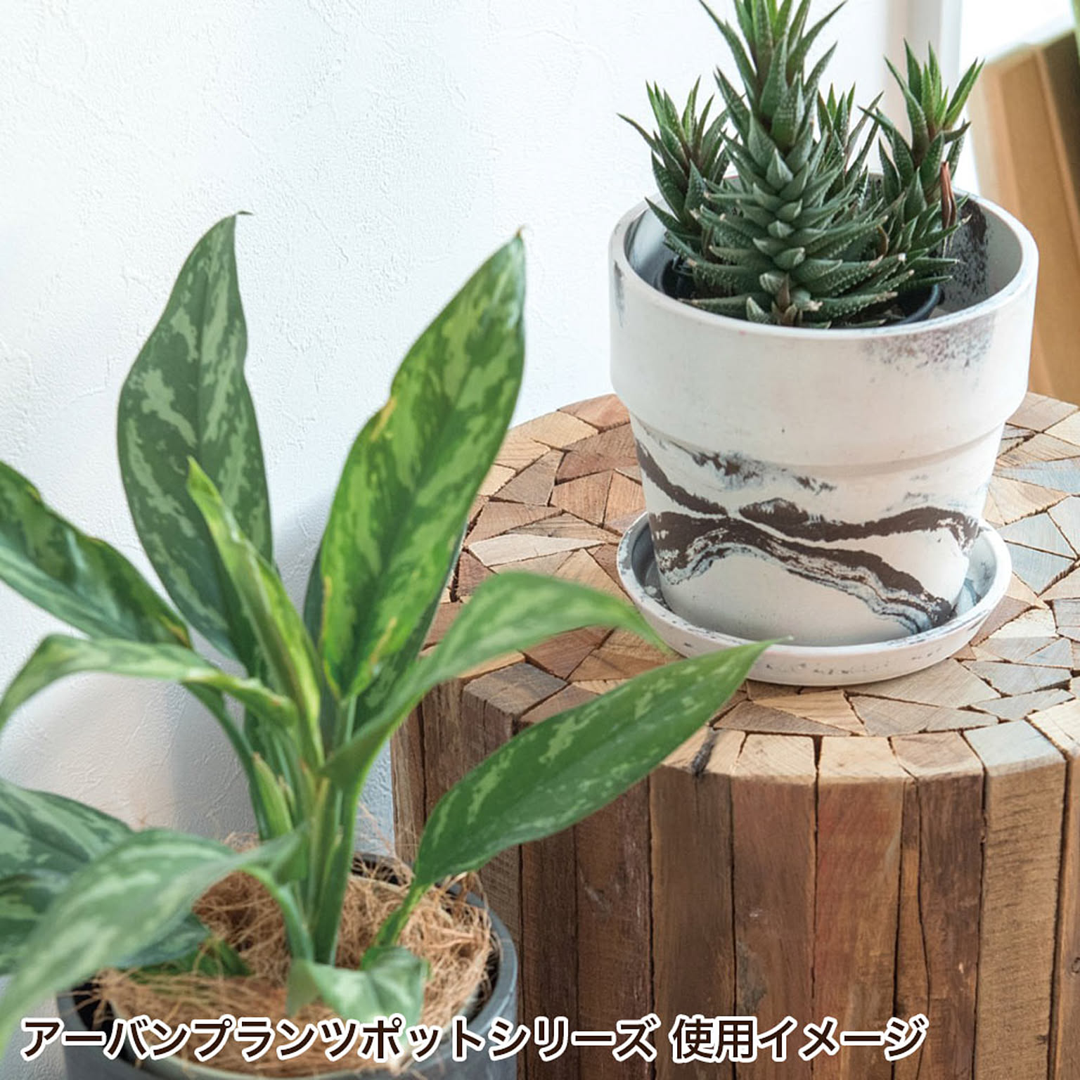 プランター・植木鉢