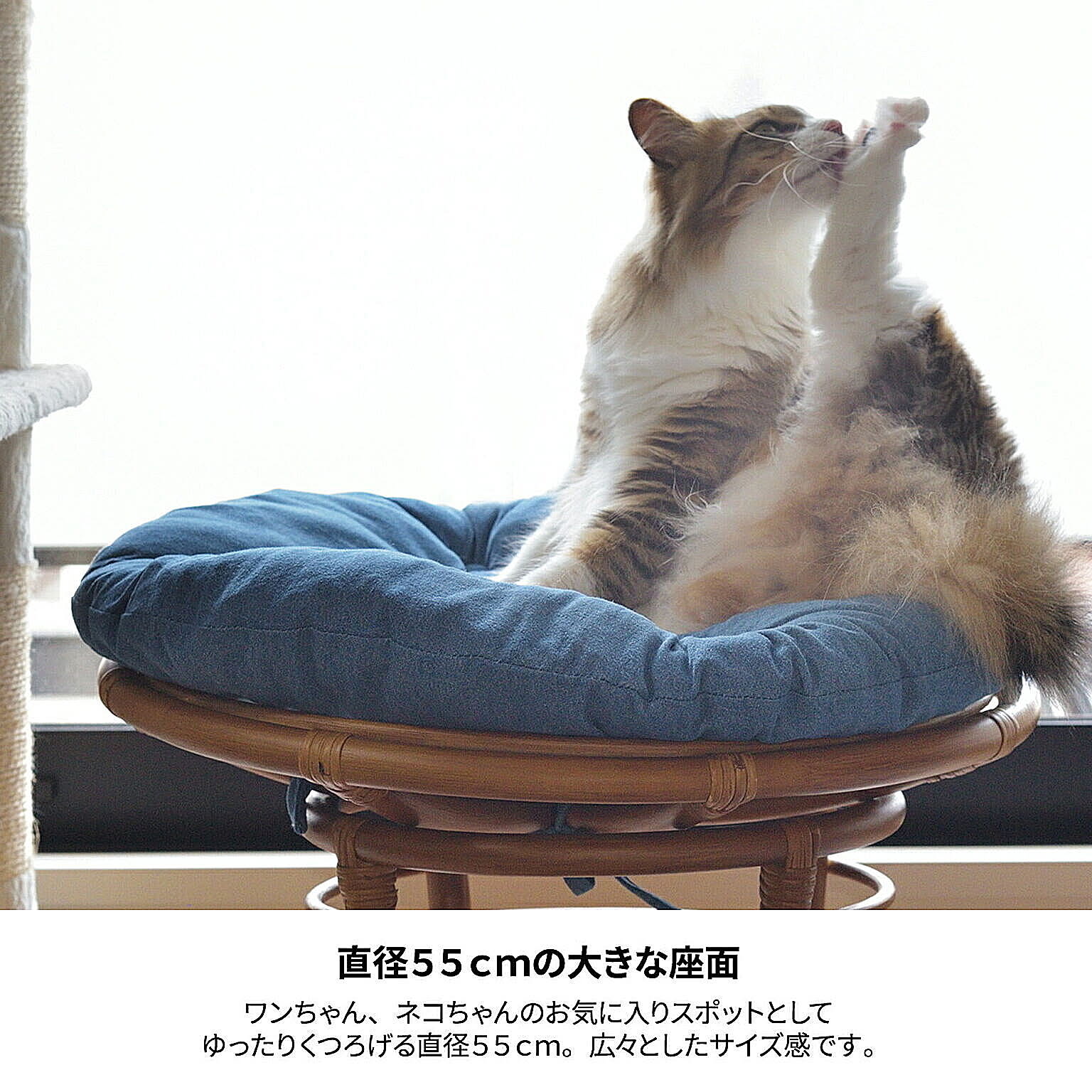 犬用インテリア・犬用家具