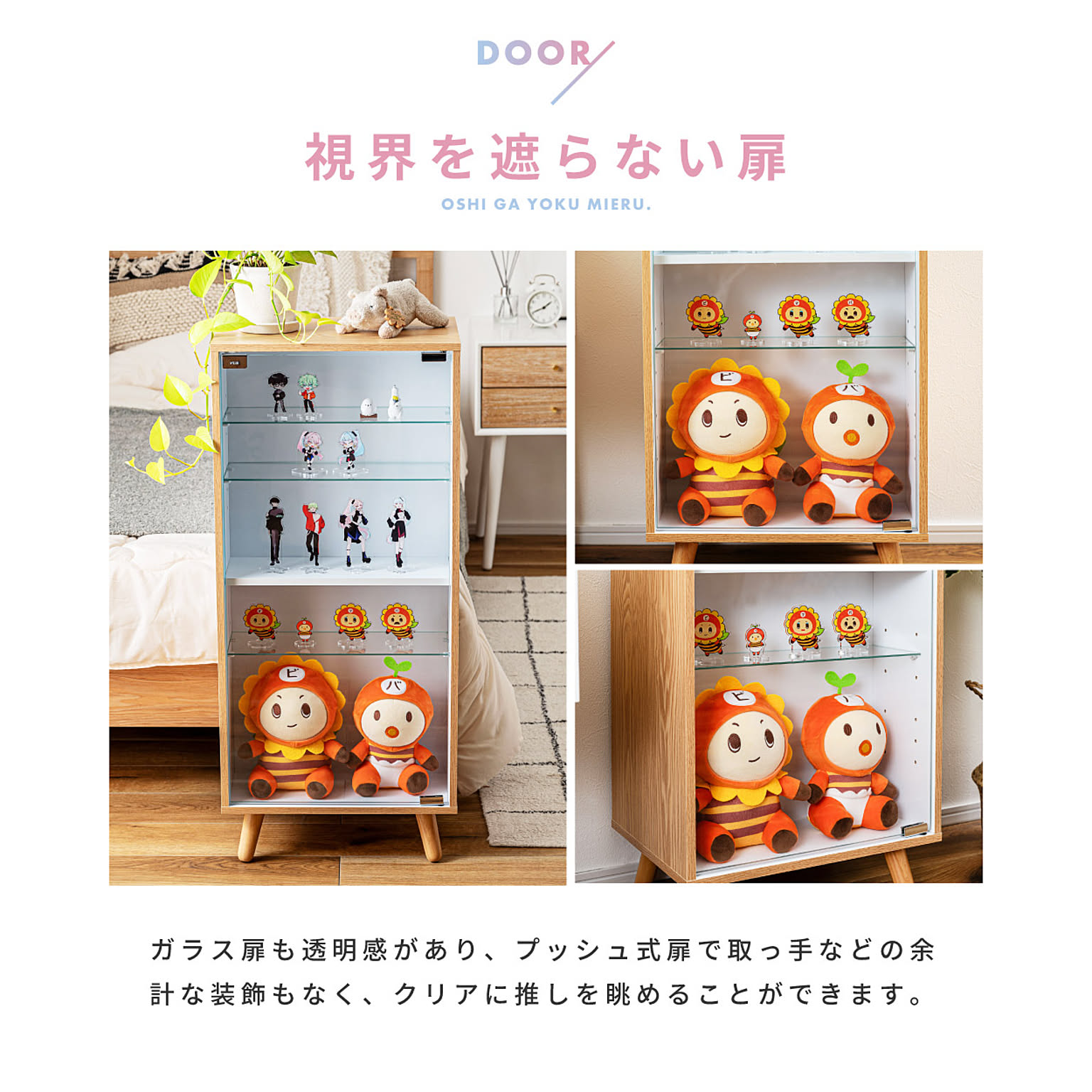 コレクションケース