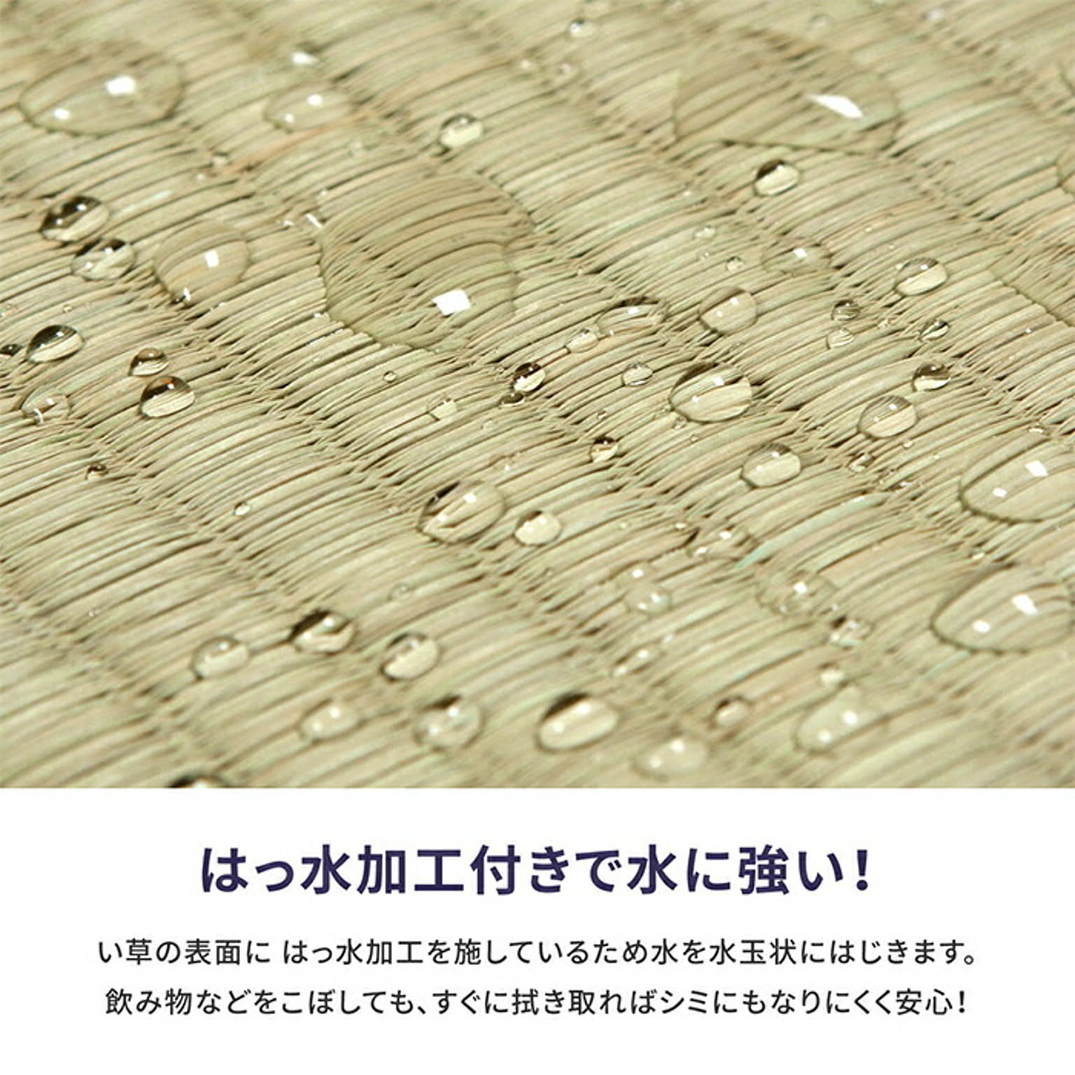 ござ・い草ラグ