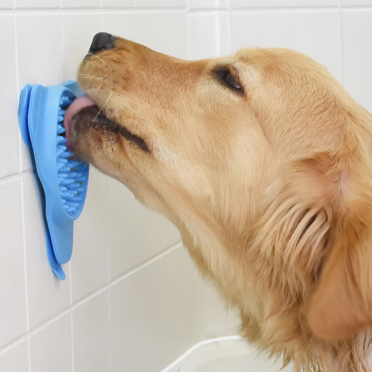 犬用インテリア・犬用家具