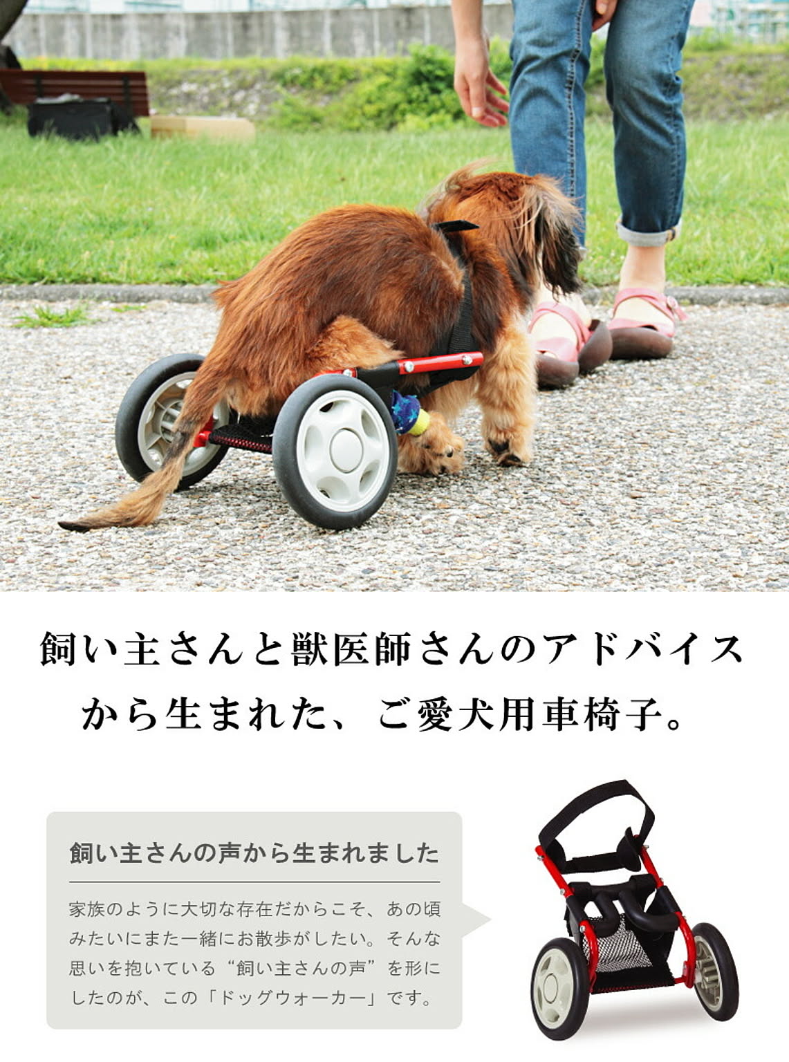 犬用インテリア・犬用家具