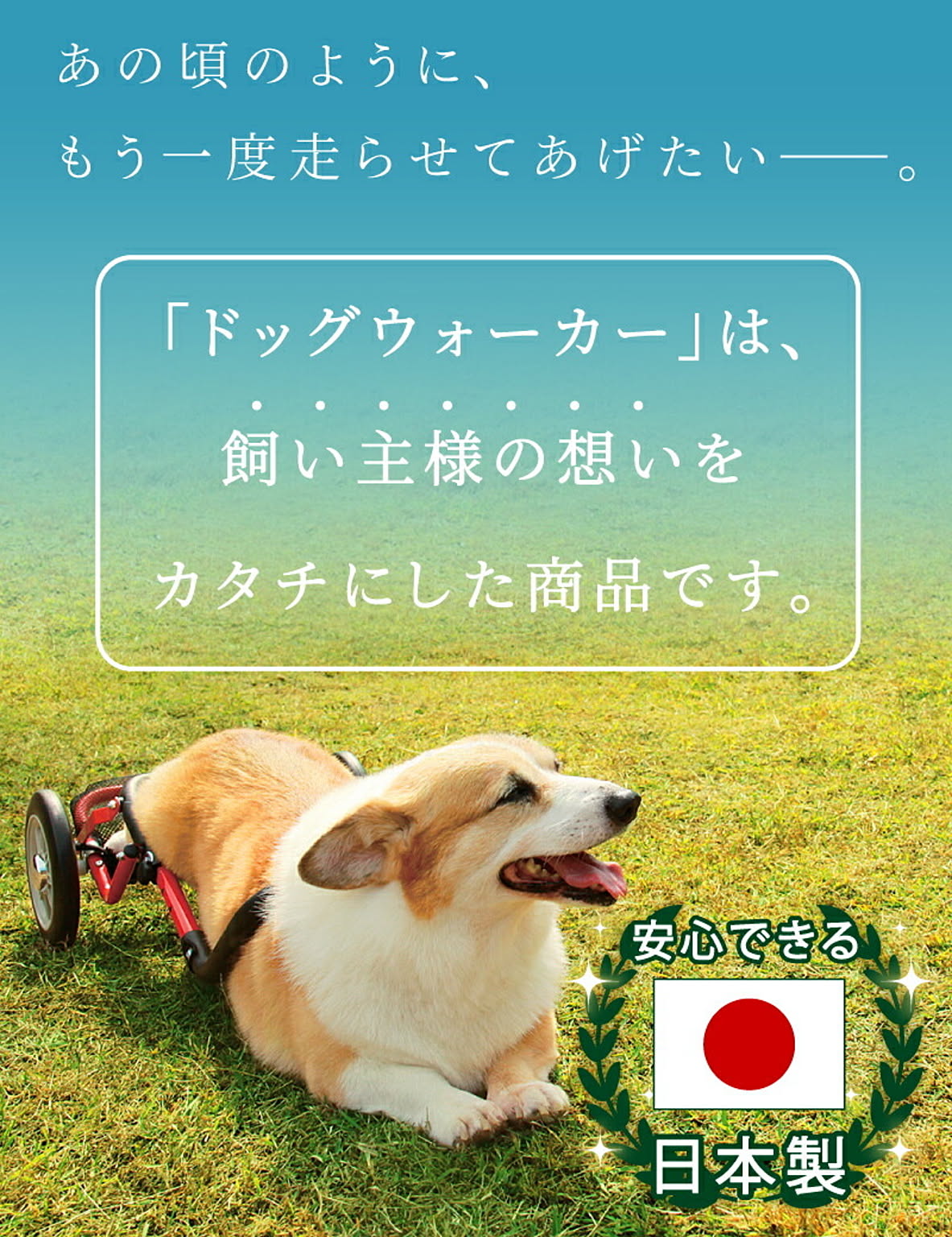 犬用インテリア・犬用家具