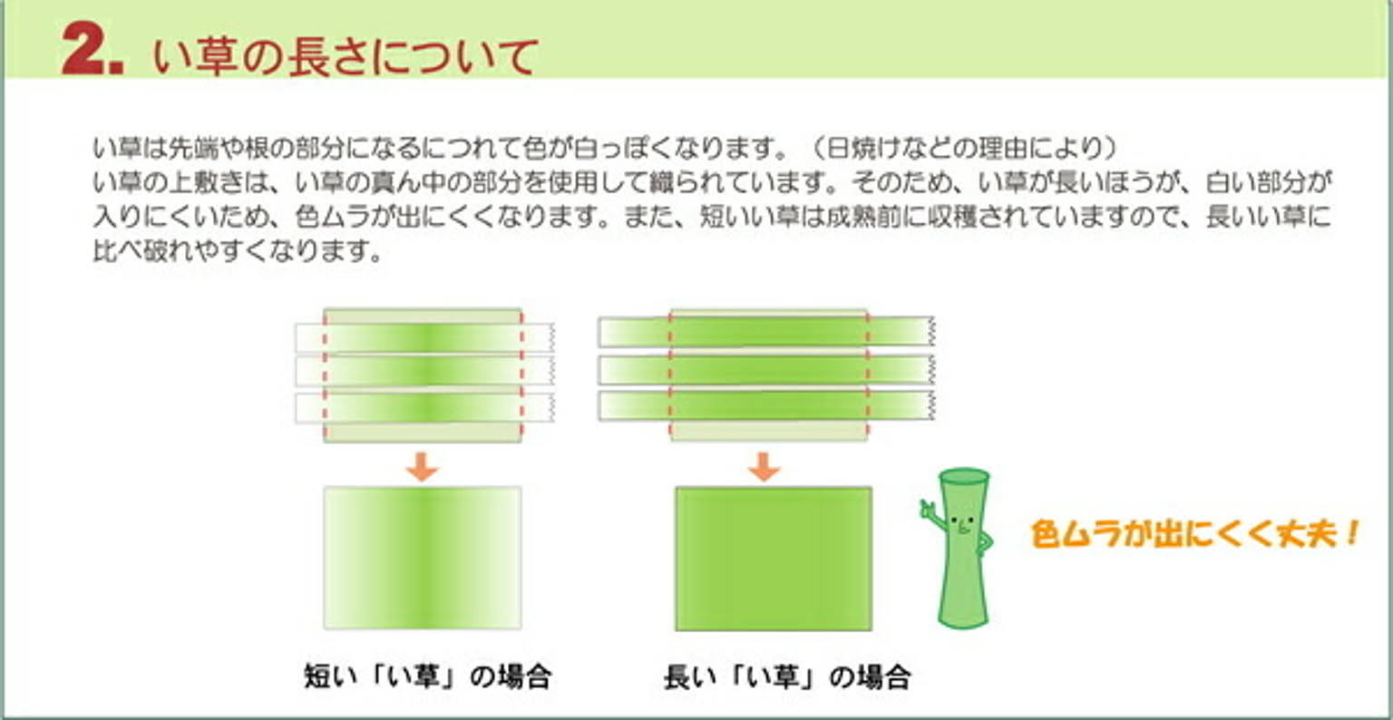 サブ画像