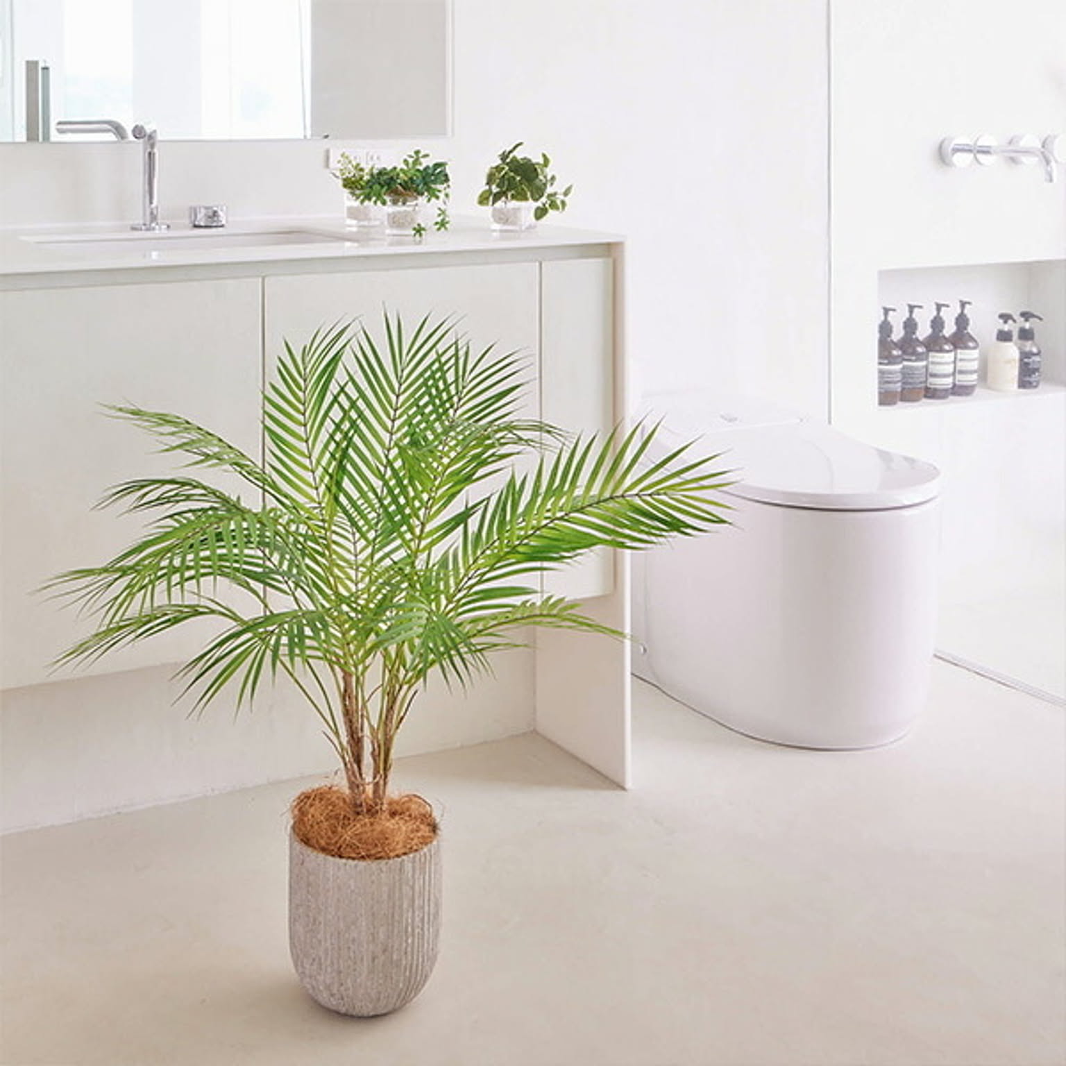 フェイクグリーン