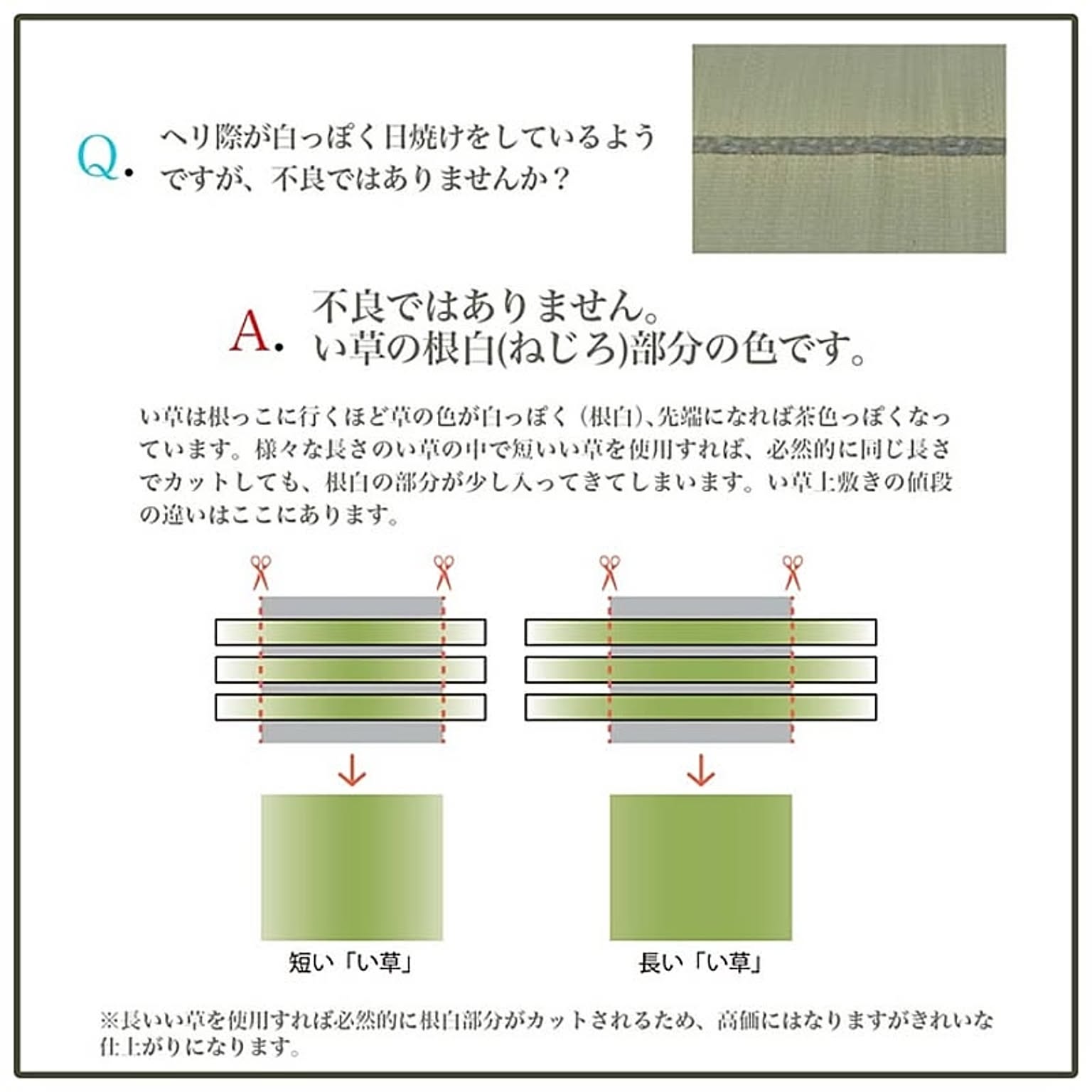 ござ・い草ラグ