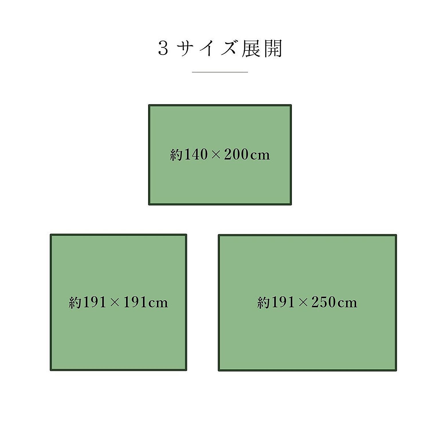 ござ・い草ラグ