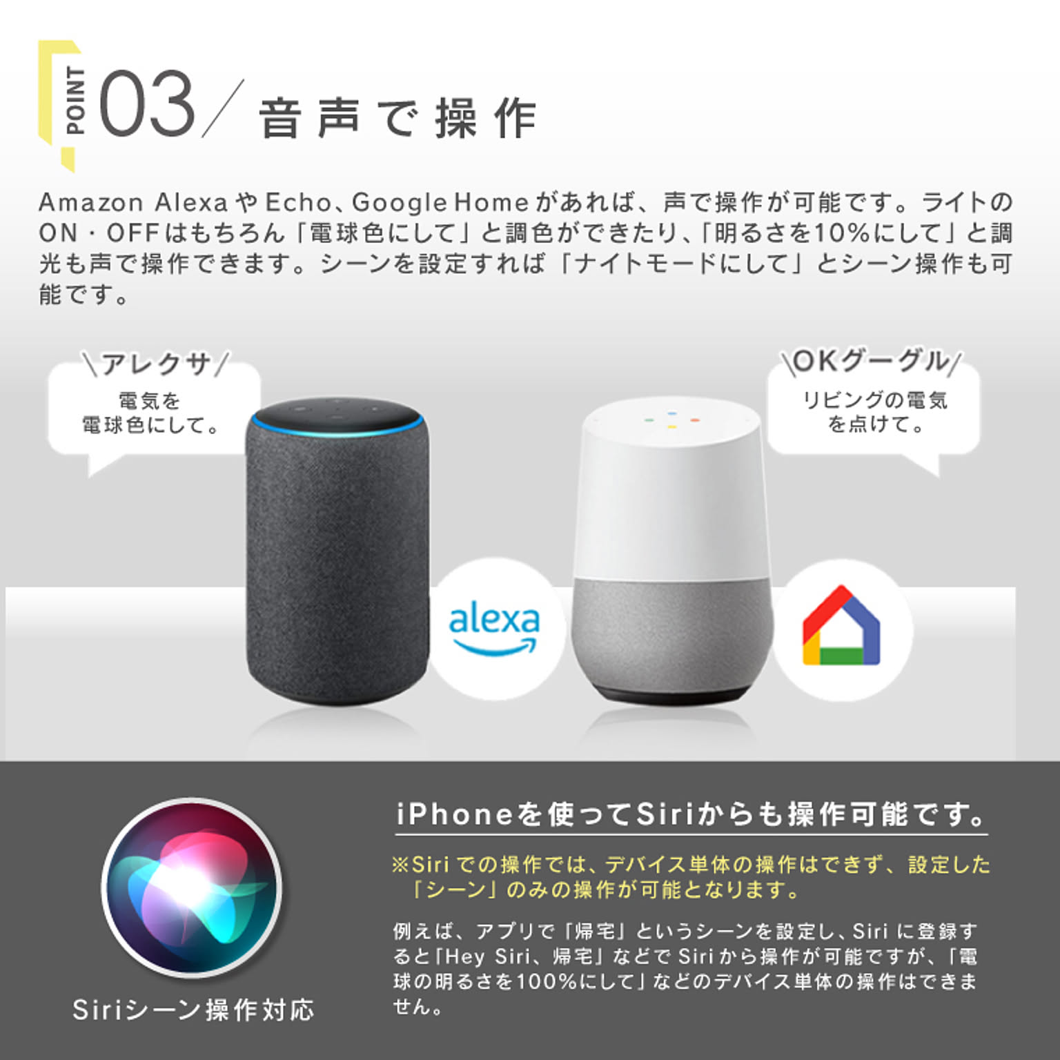 電球