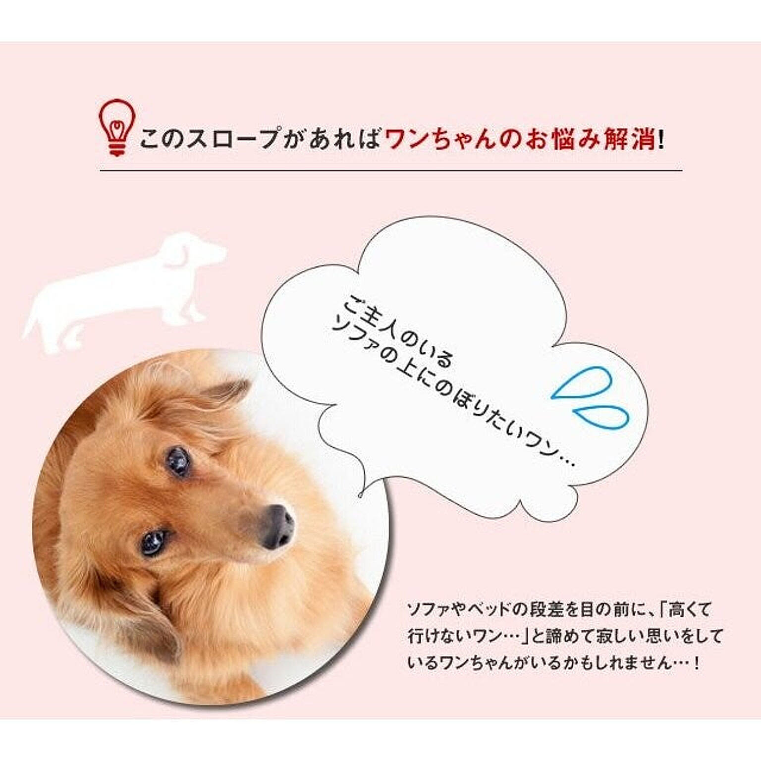 犬用インテリア・犬用家具