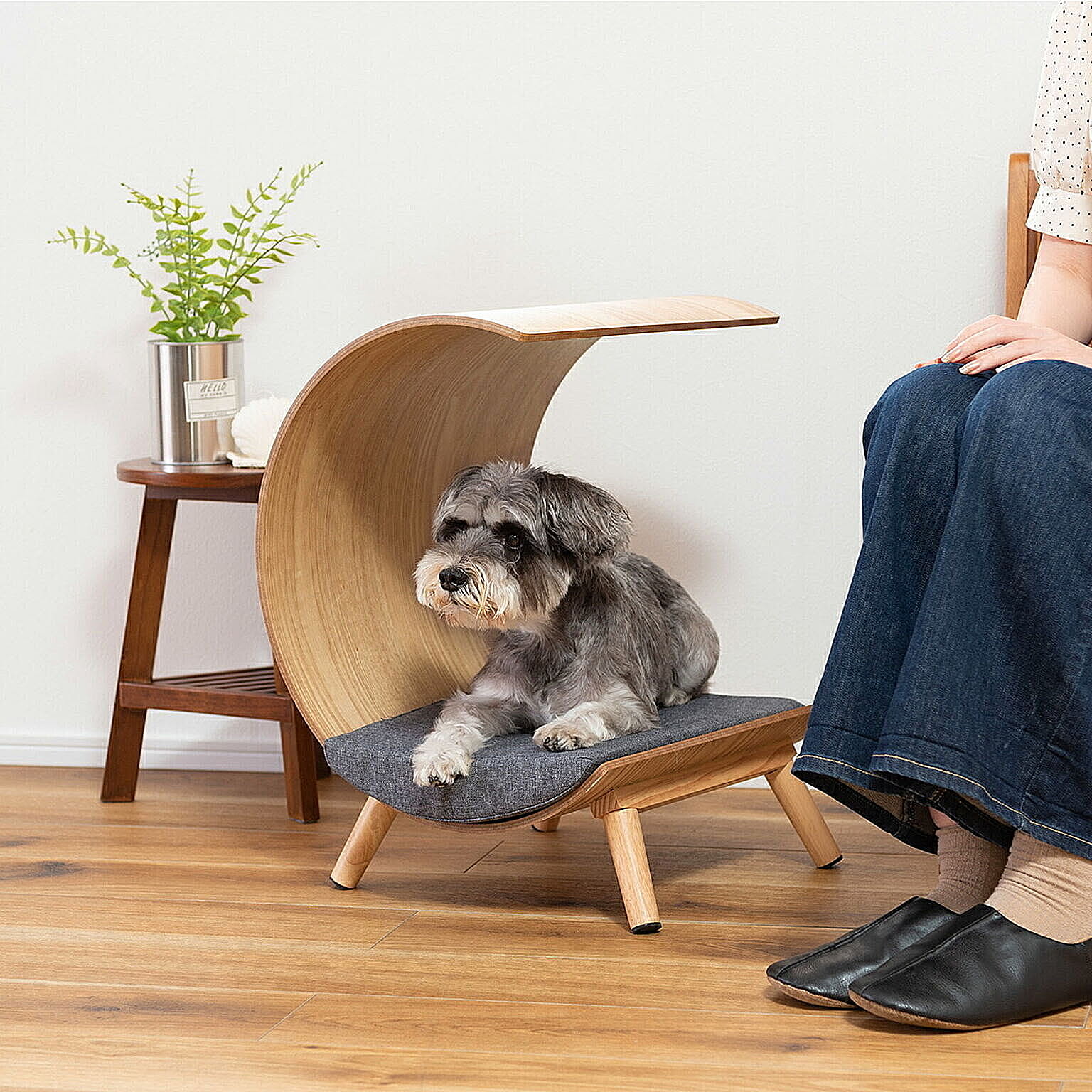 その他の動物のインテリア・その他の動物の家具