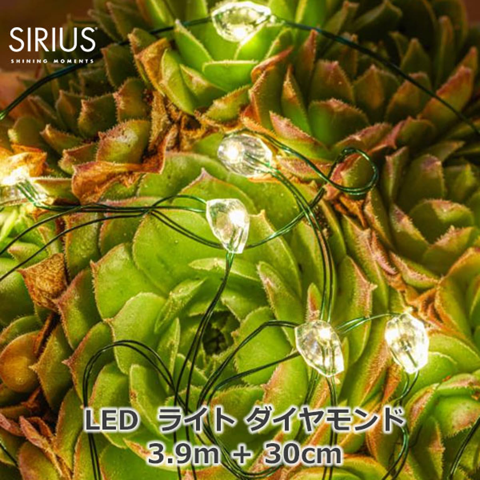イルミネーション・電飾