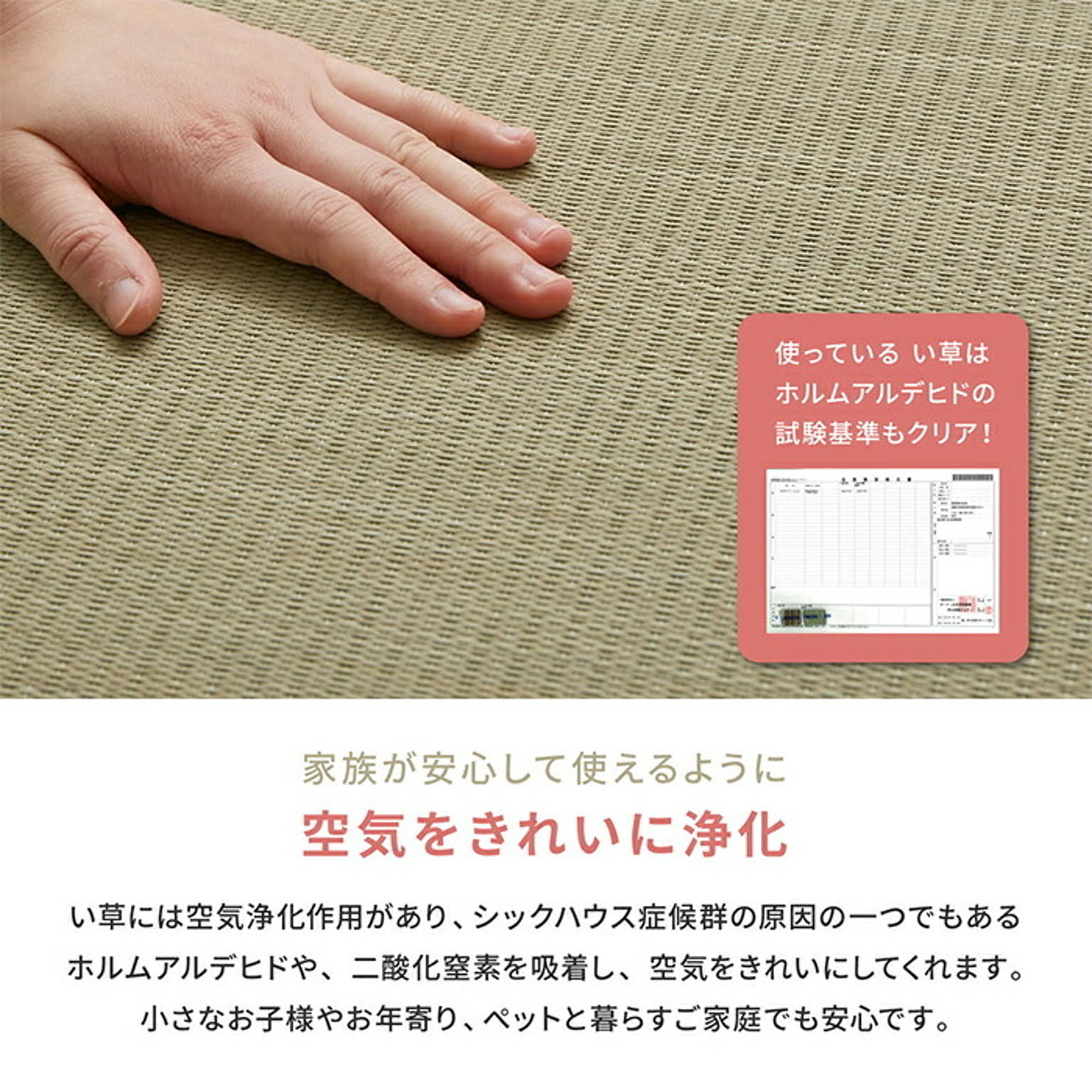 ござ・い草ラグ