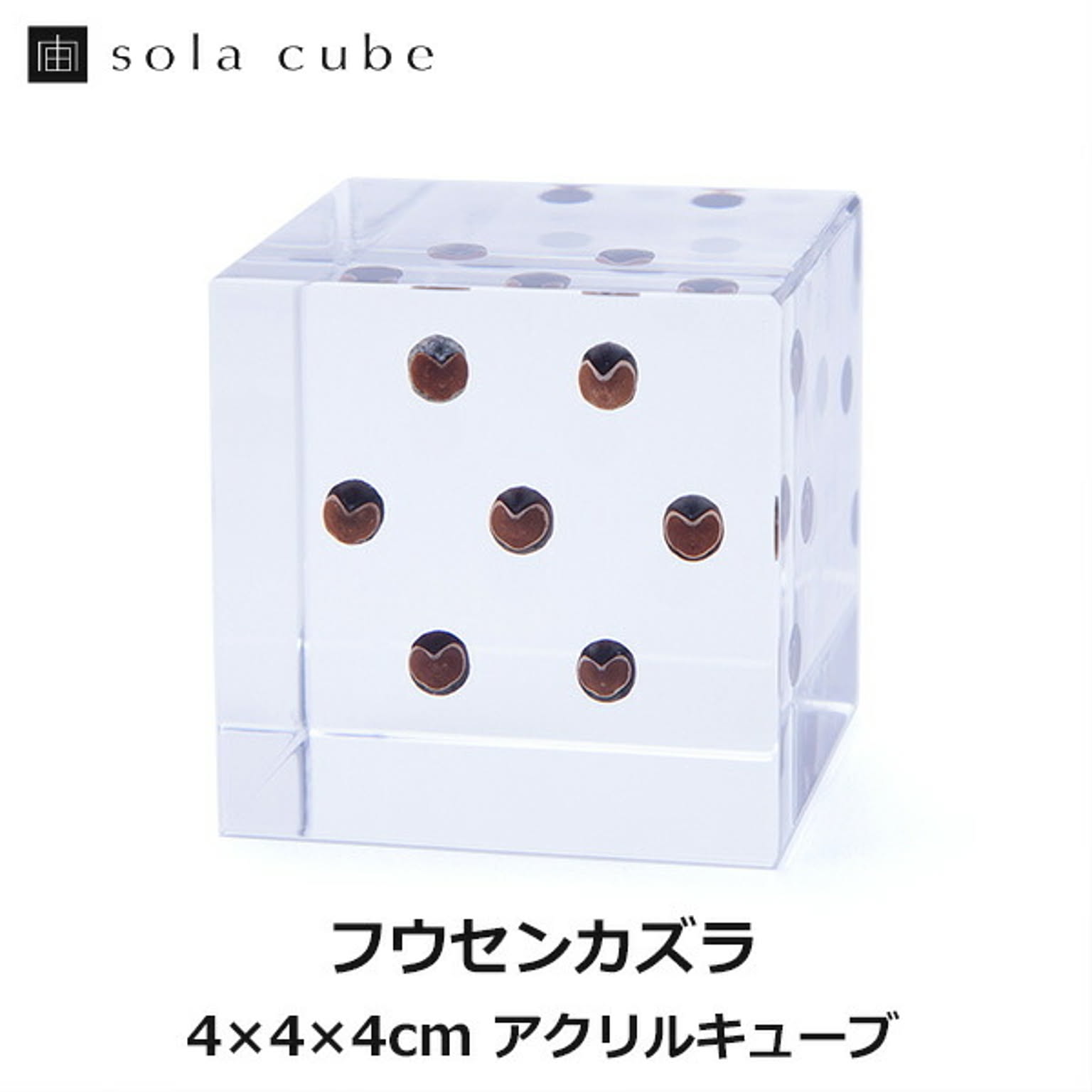 置物・オブジェ