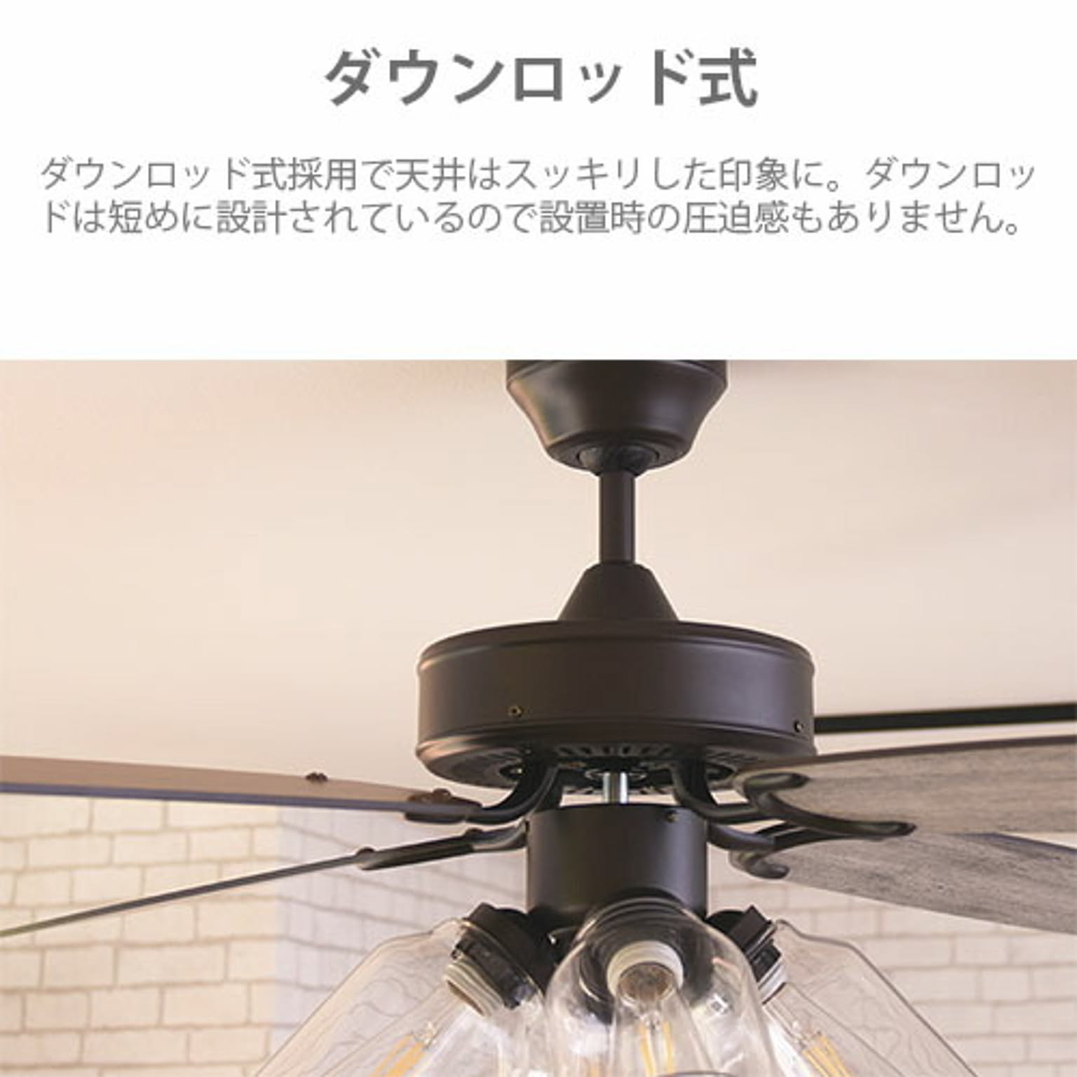 シーリングファンライト